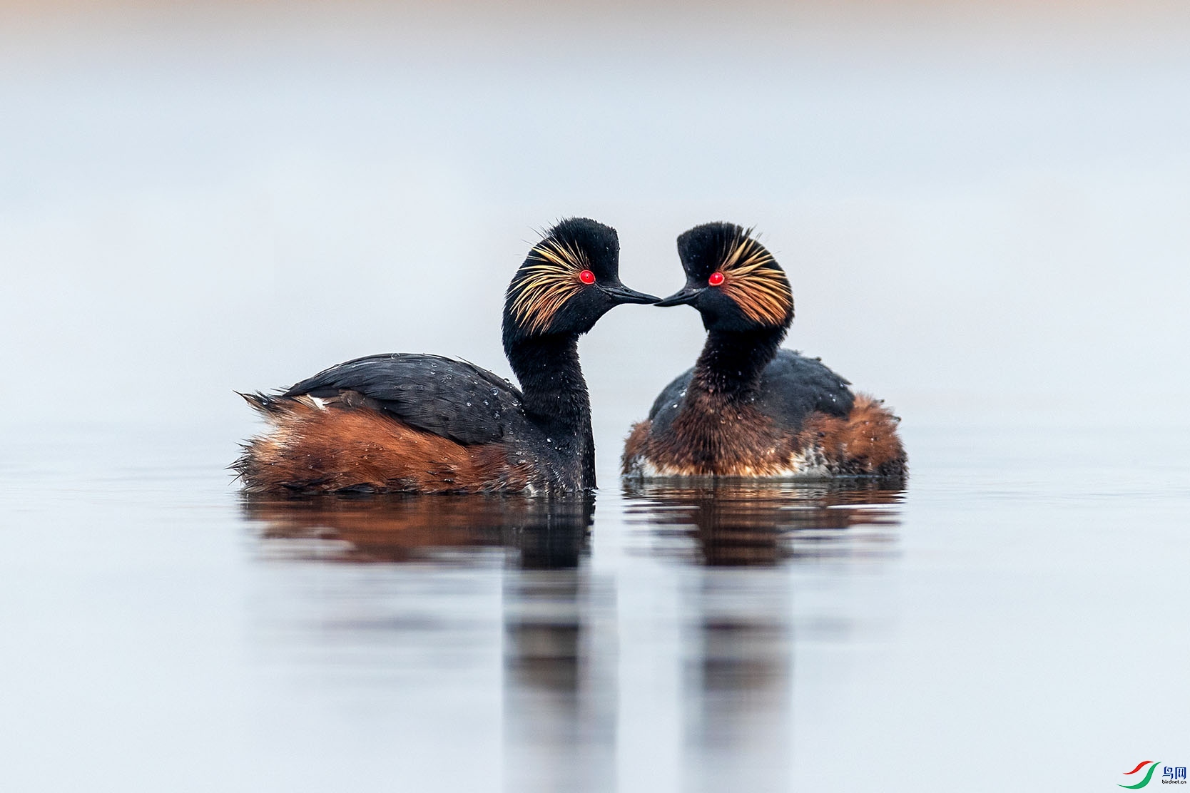 JHGS6251 ����.jpg