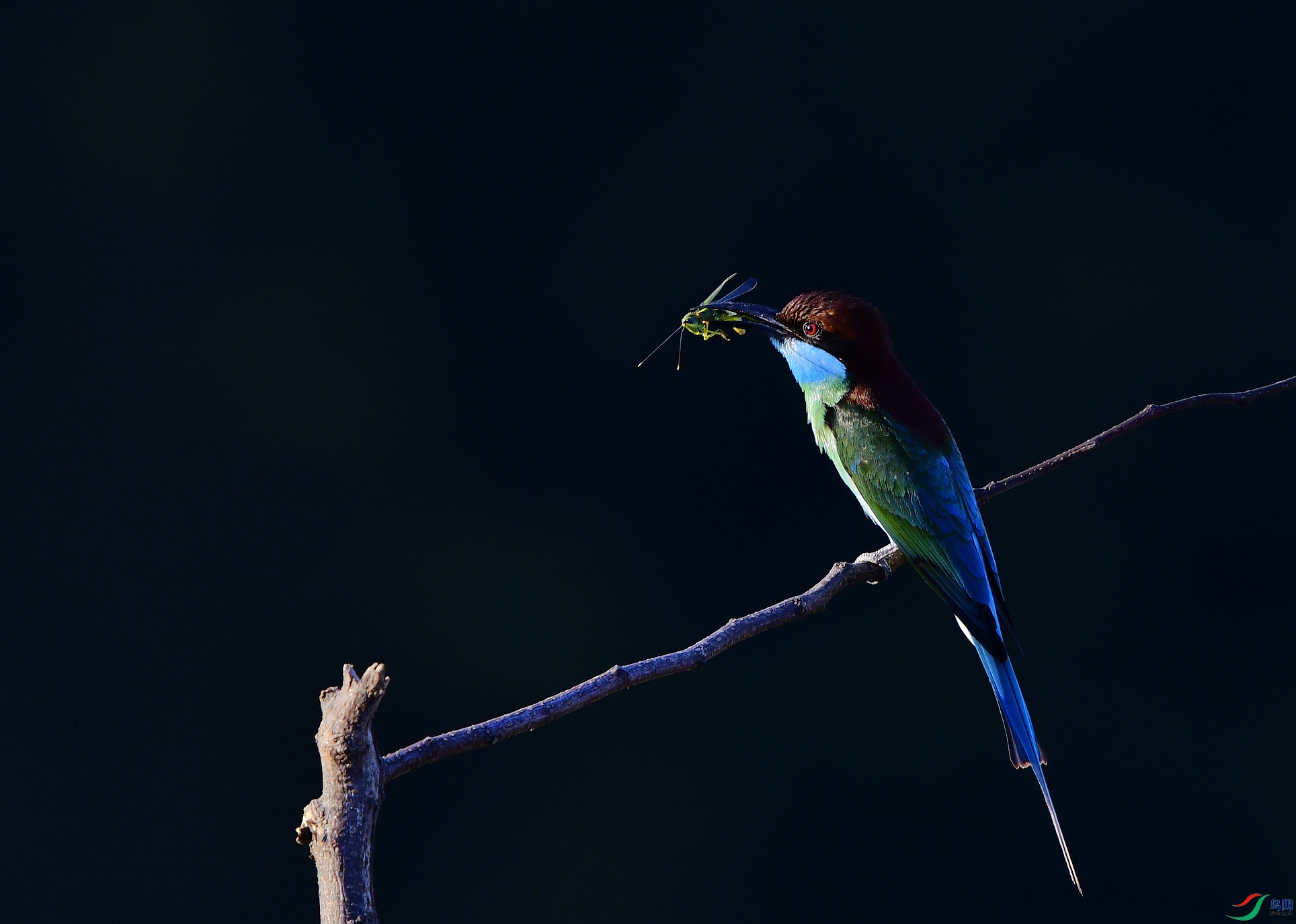 _D5D0110.jpg