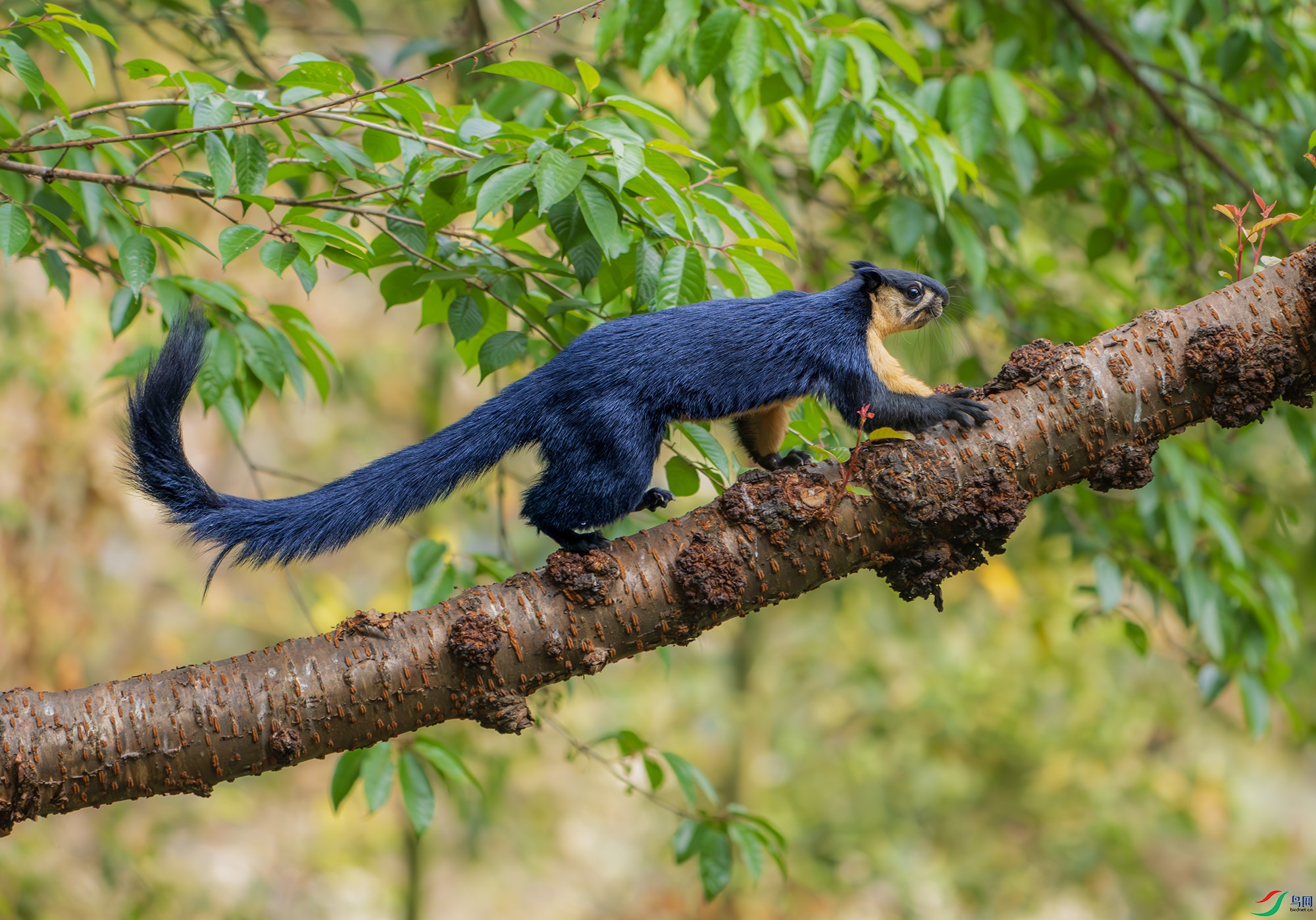 DSC_8212-2.jpg