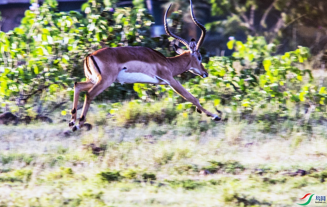 DSC_4159.jpg