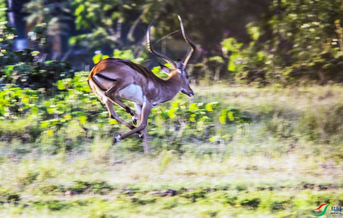 DSC_4160.jpg
