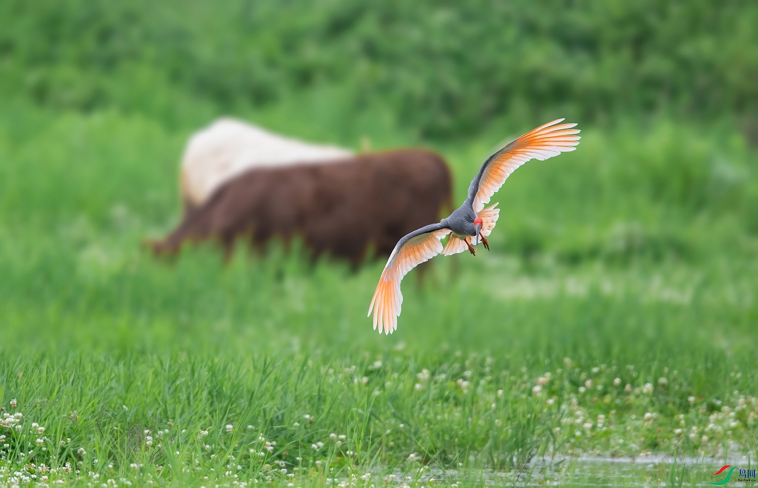 DSC_8920 ����_����.jpg