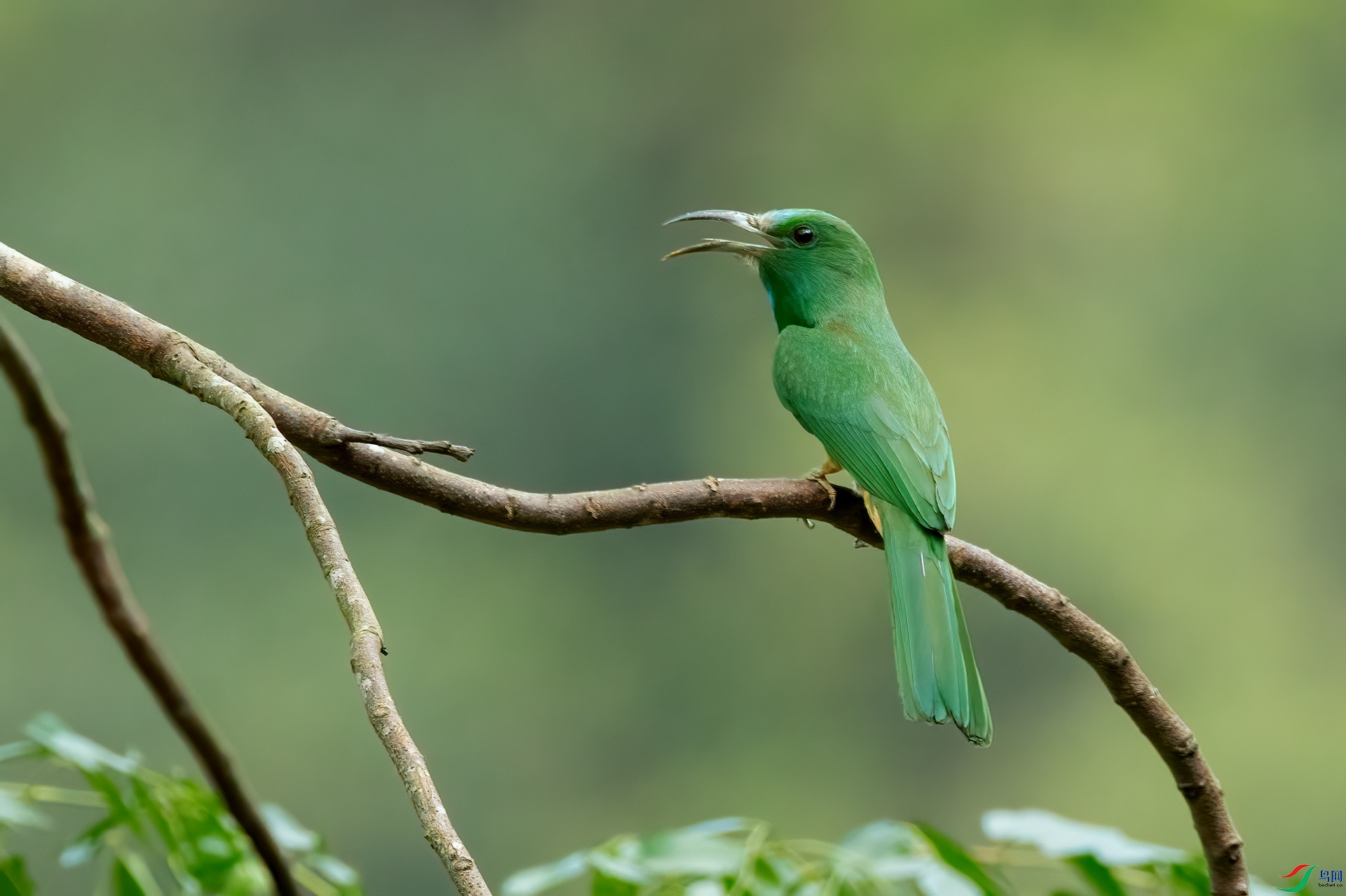 B86I6045 _����.jpg