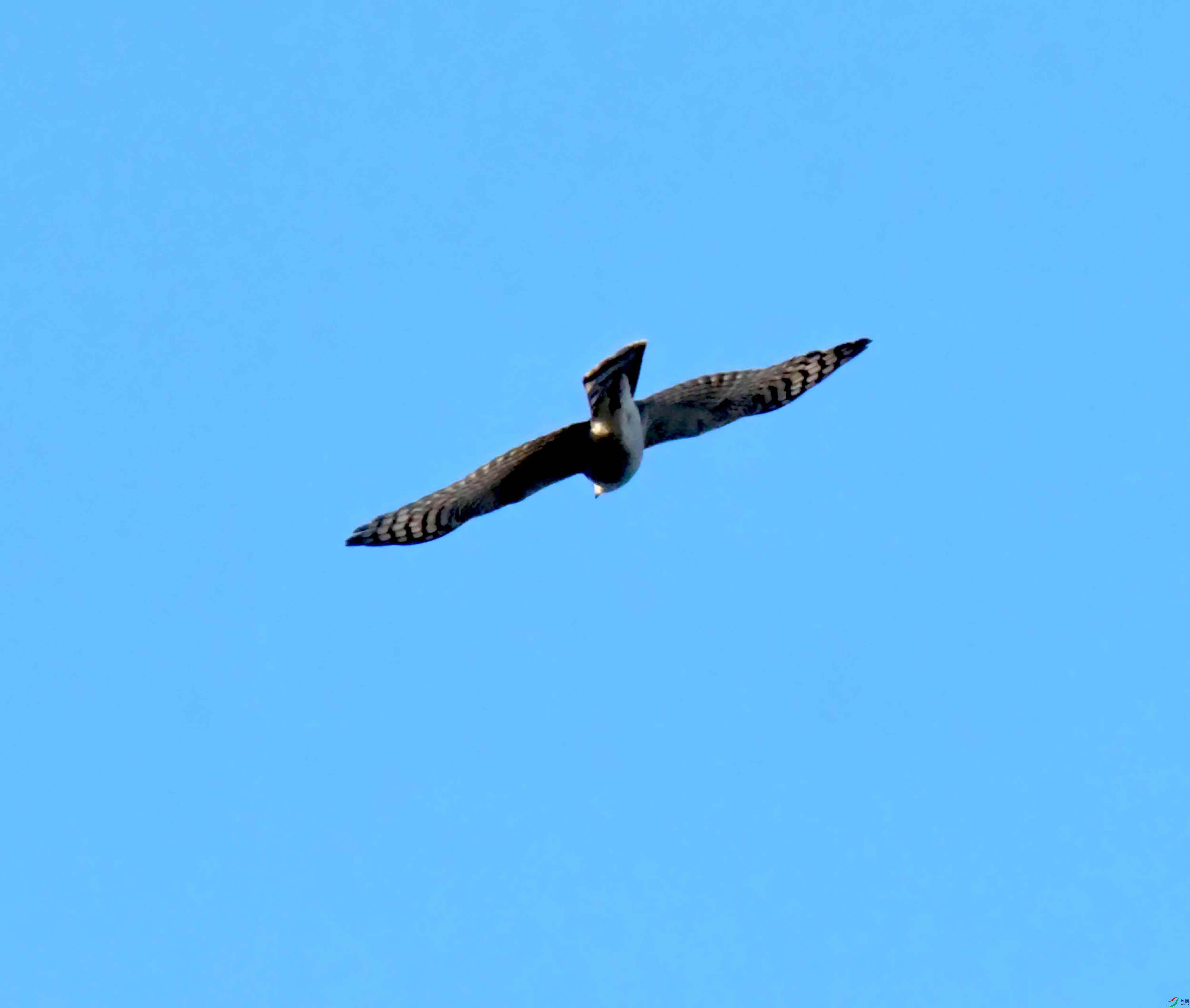 DSC_2916.JPG