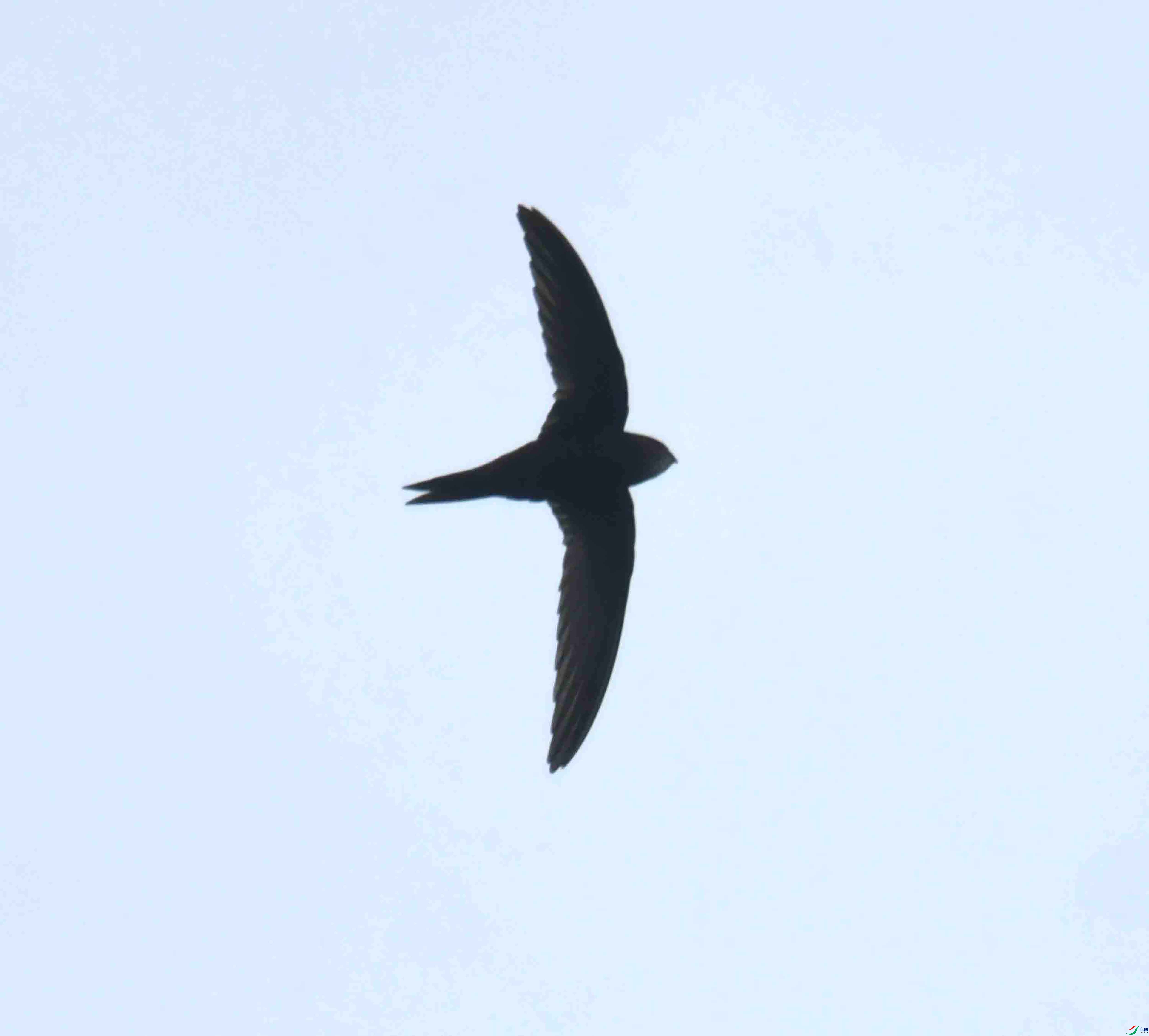 DSC_0315.JPG