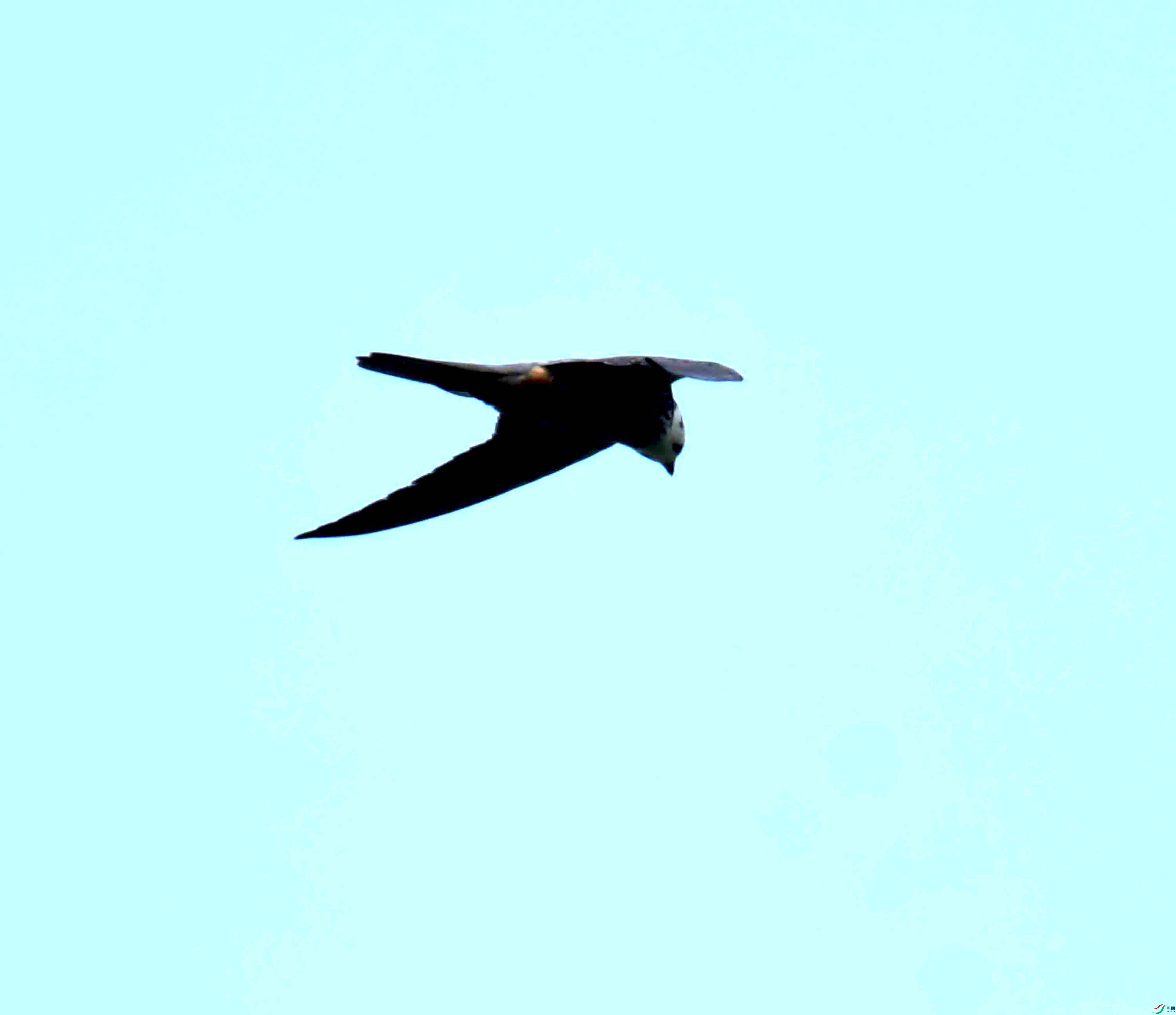 DSC_0341.JPG