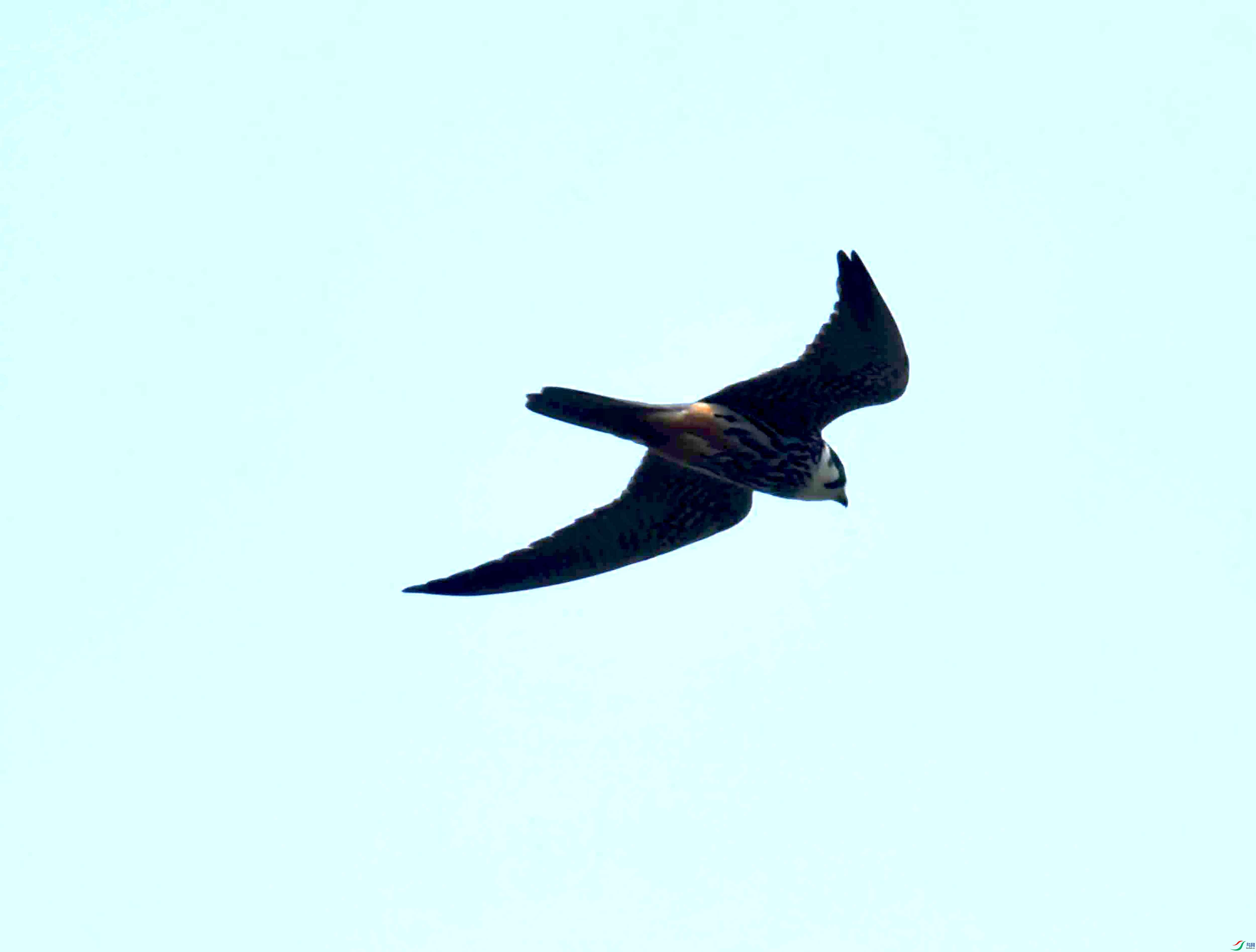 DSC_0340.JPG