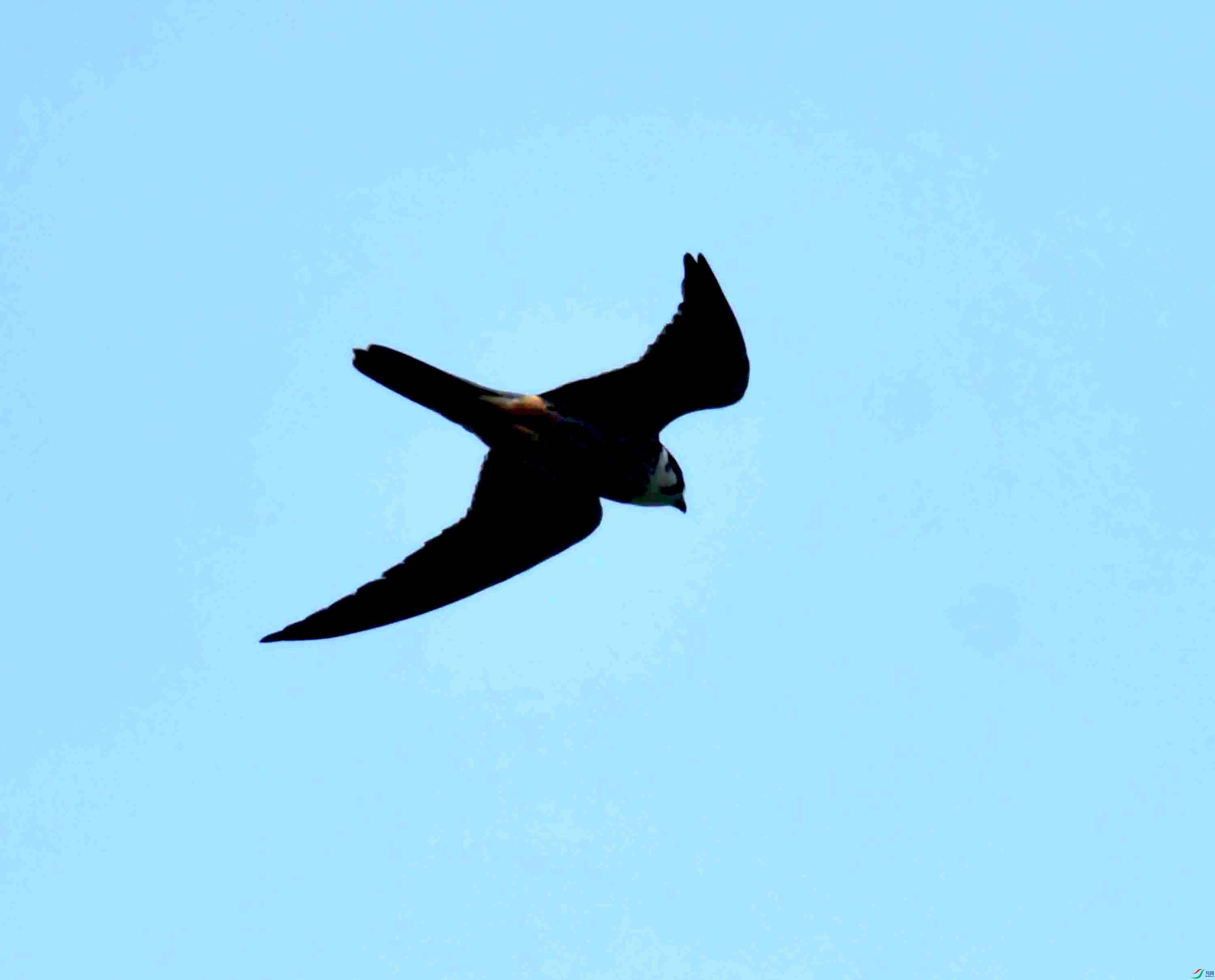 DSC_0339.JPG