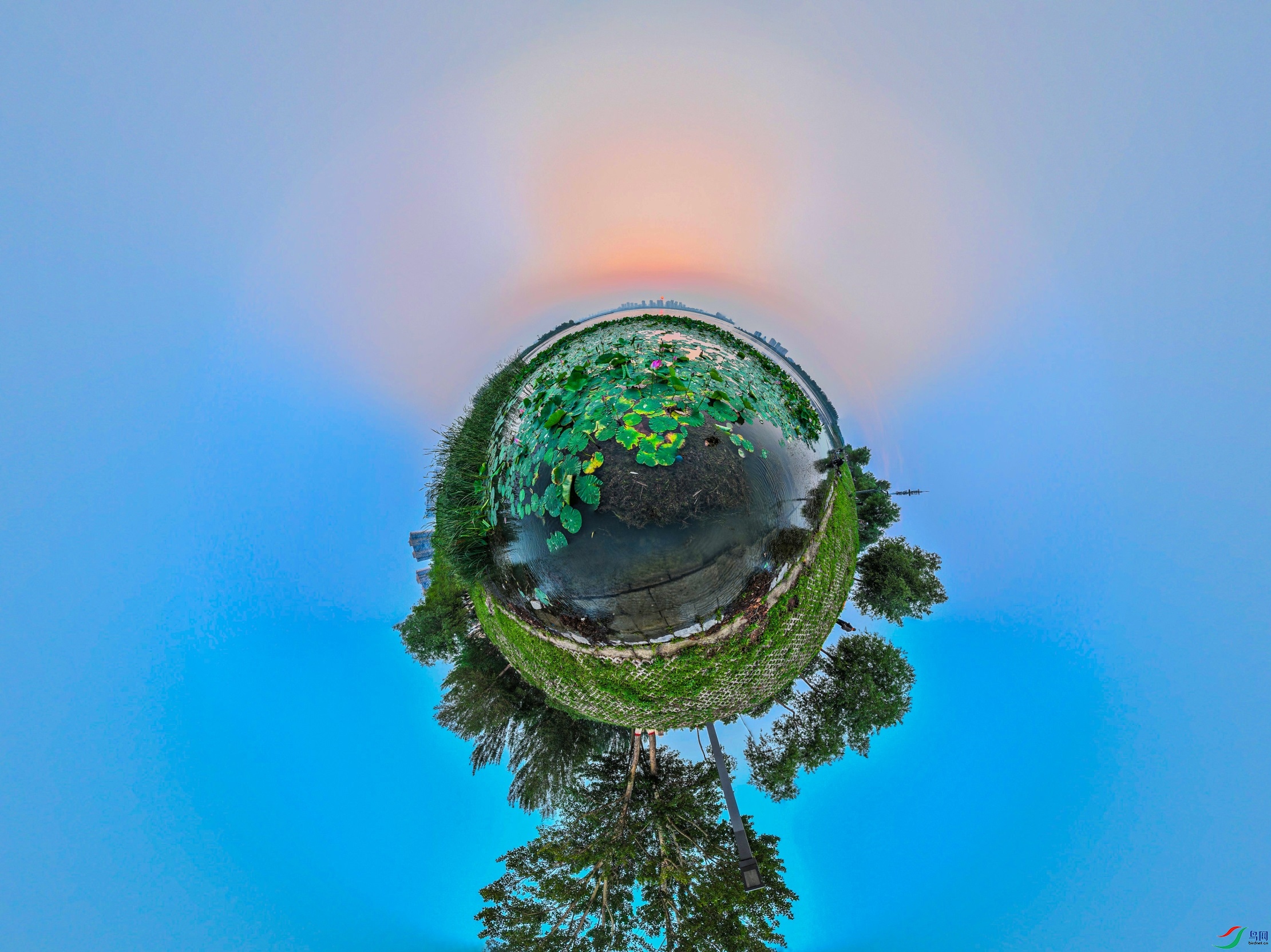 dji_export_20230712_061258_1689113578636_sphere_screenshot ����1.jpg