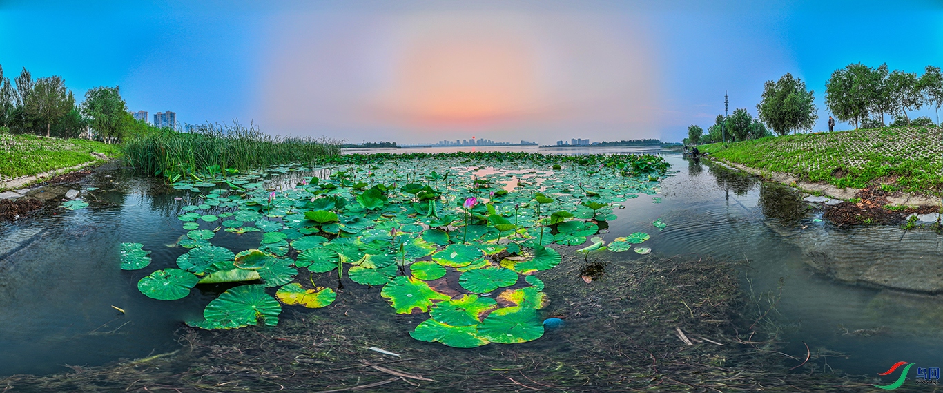 dji_fly_20230711_042704_394_1689113658495_pano ���� 1.jpg