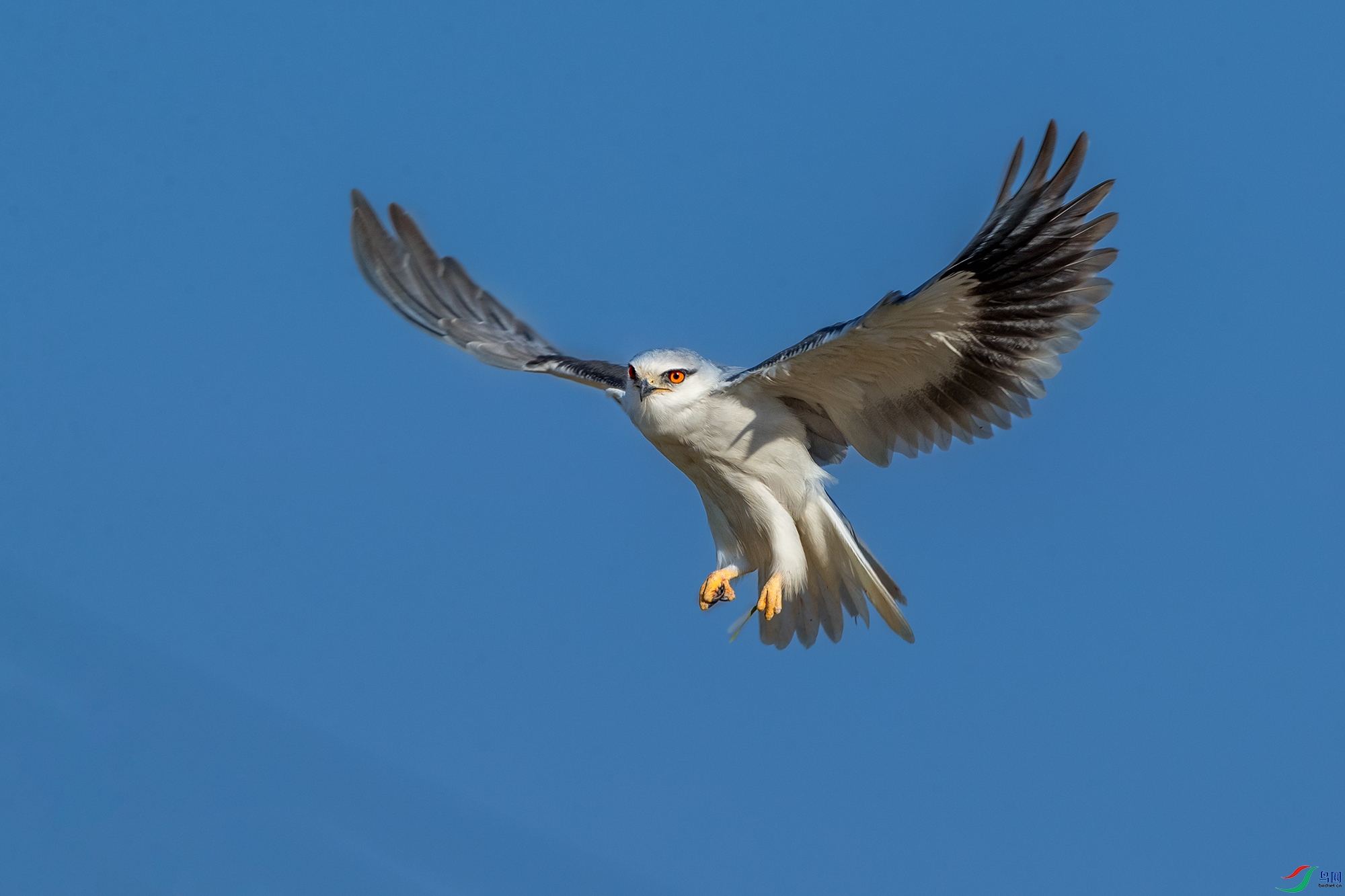 �ڳ��----չ�᰿��������