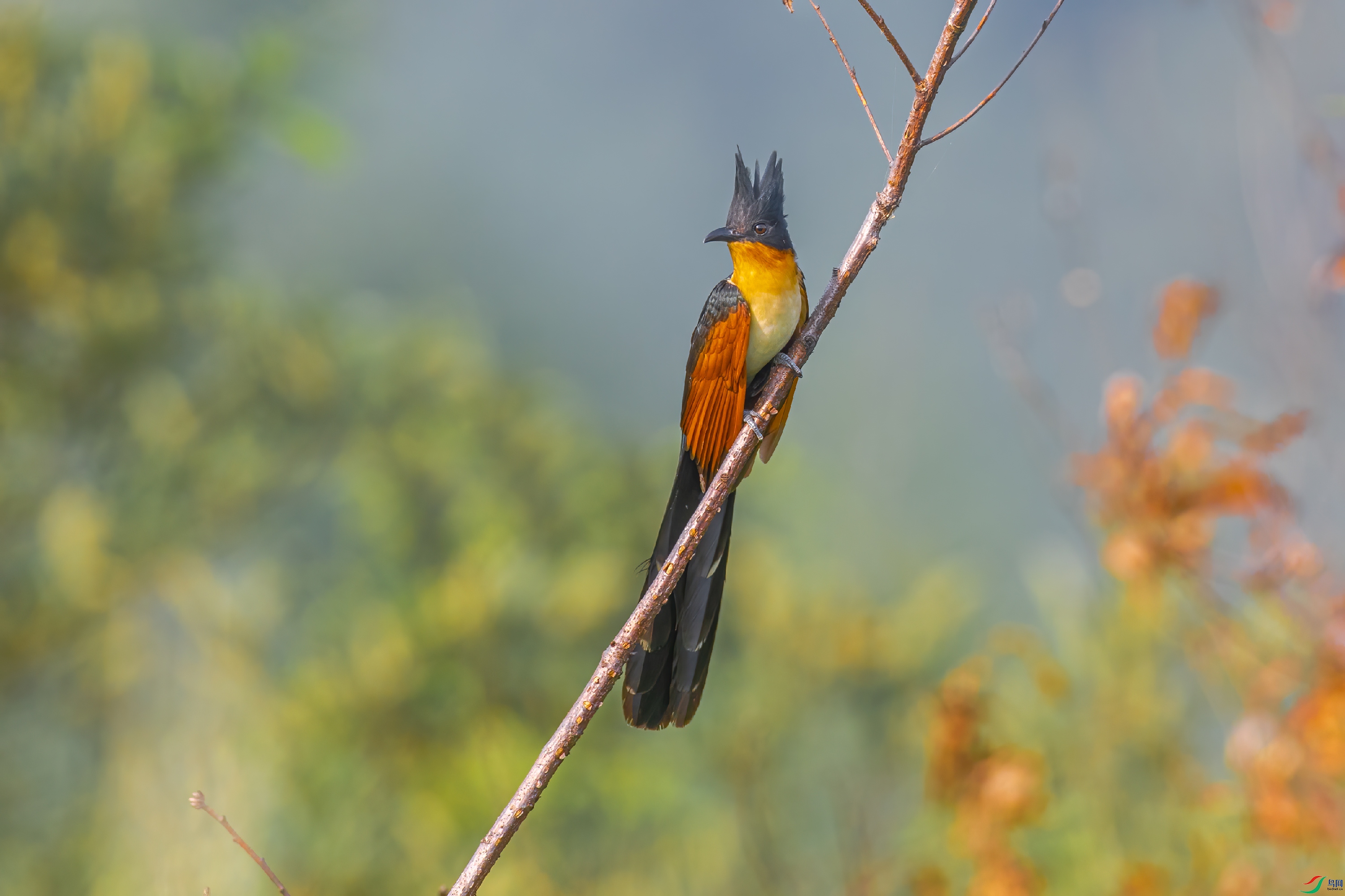 0D7A2550-2.jpg