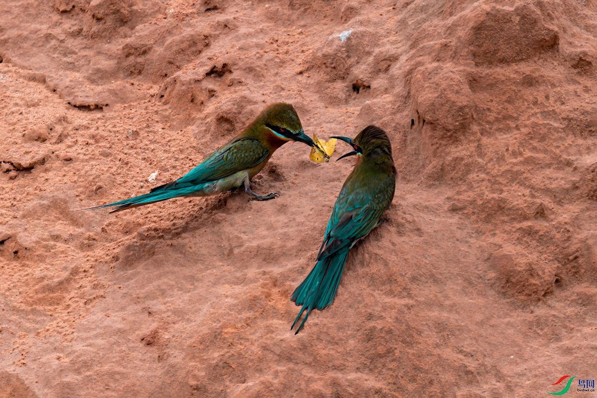 DSC_7311.jpg
