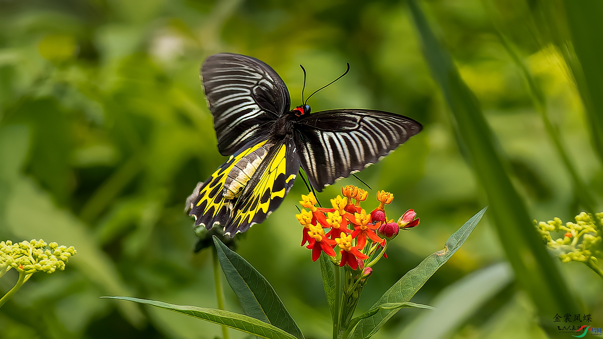 _6132270-ORF_DxO_DeepPRIME ����.jpg