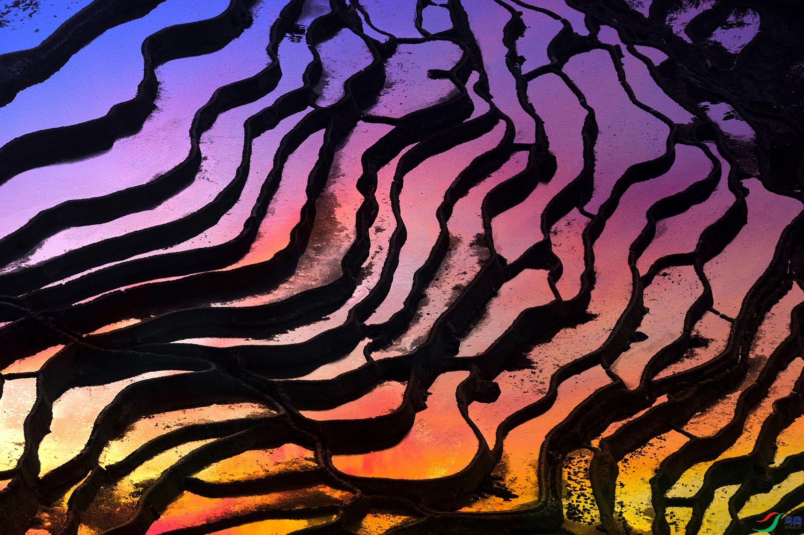 Ԫ������