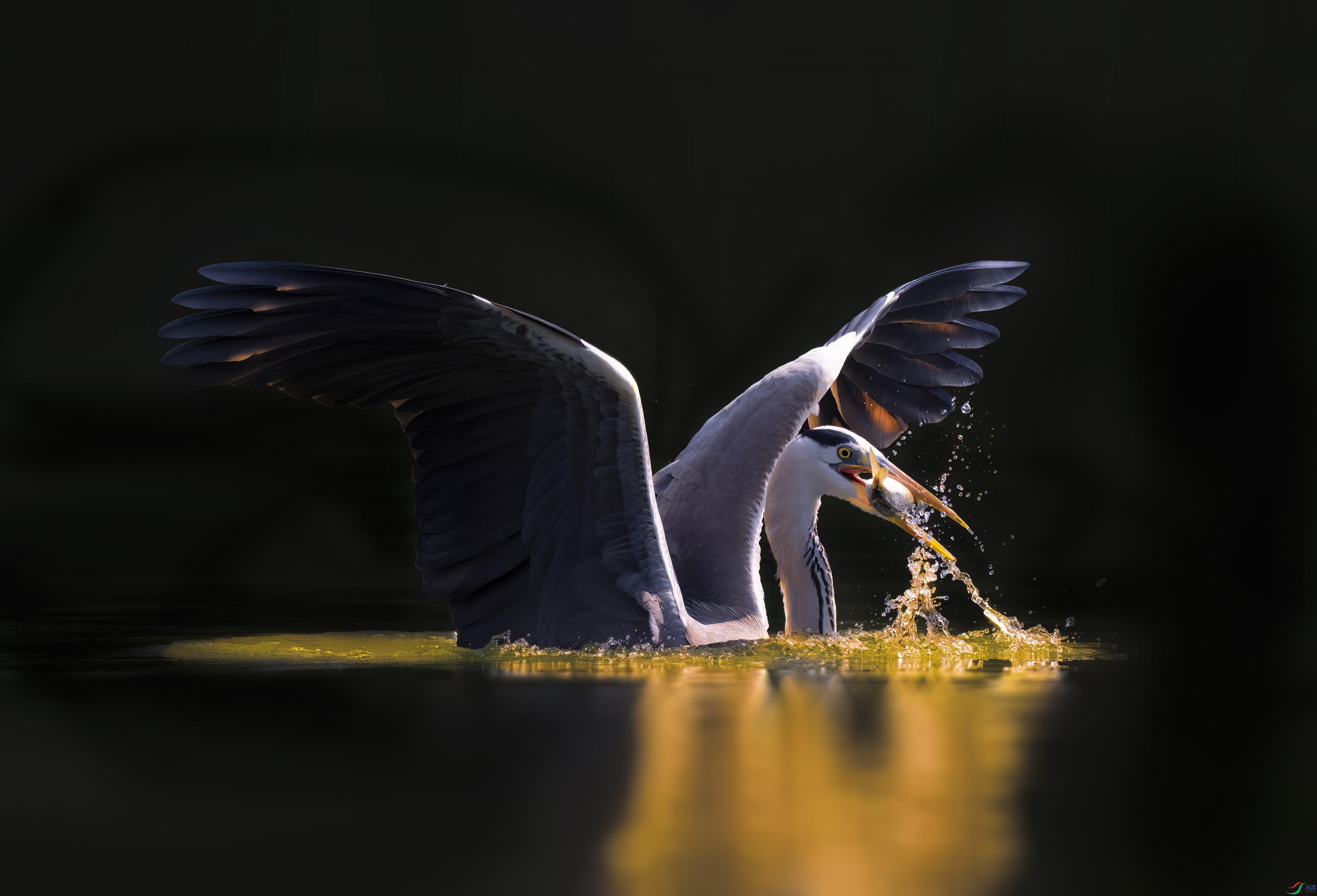 DSC_4689 ���� 3.jpg