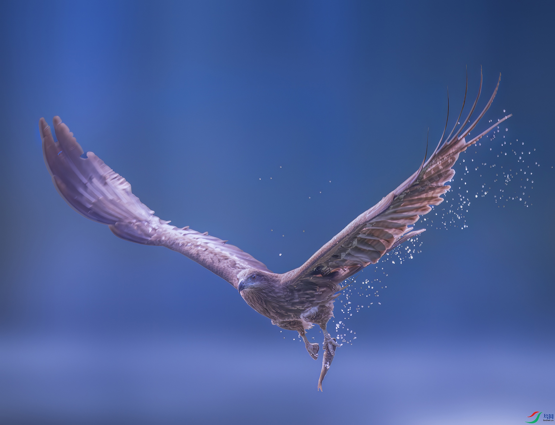 DSC_9378-����ǿ-NR ���� 3.jpg