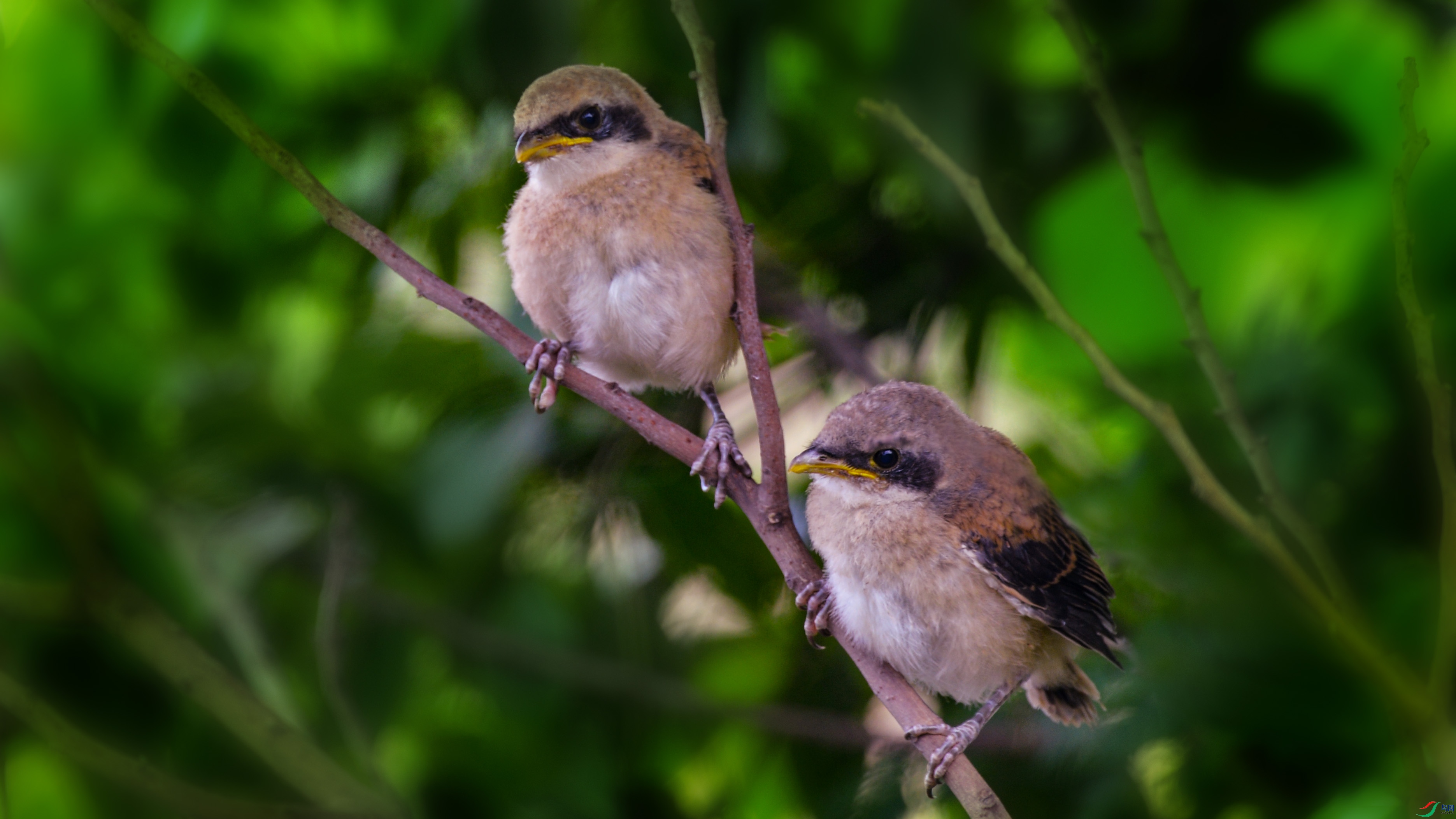 DSC_3662.jpg