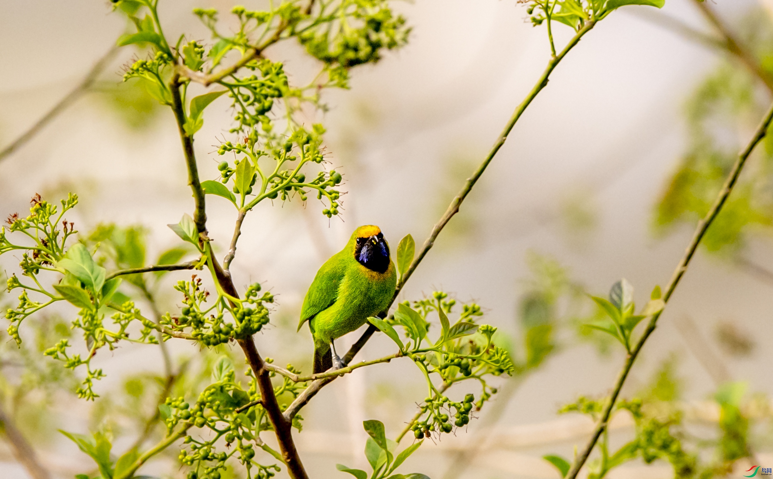 DSC_9139СС��.JPG