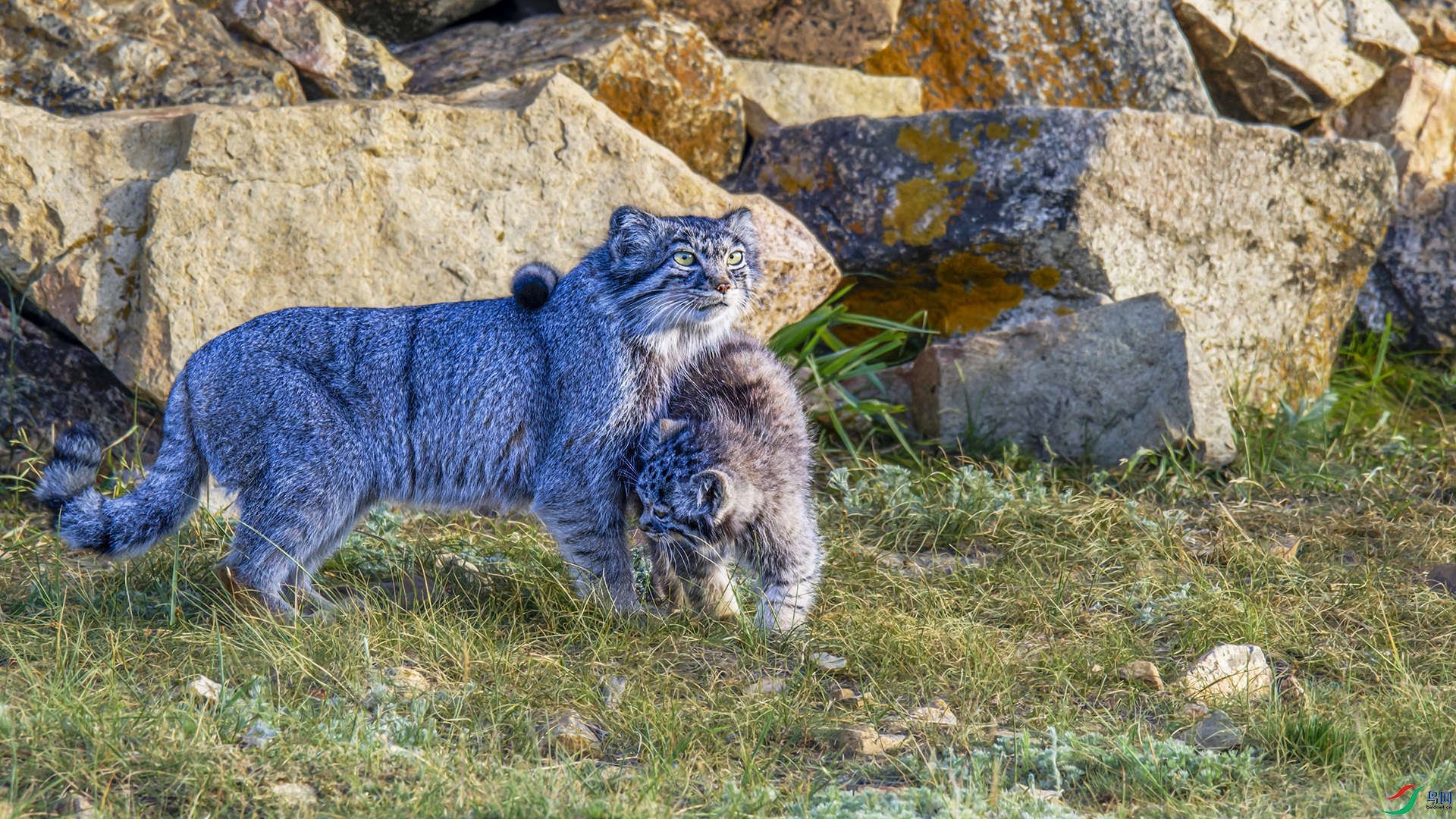 _DSC1828(1)-NEF_DxO_DeepPRIME.jpg