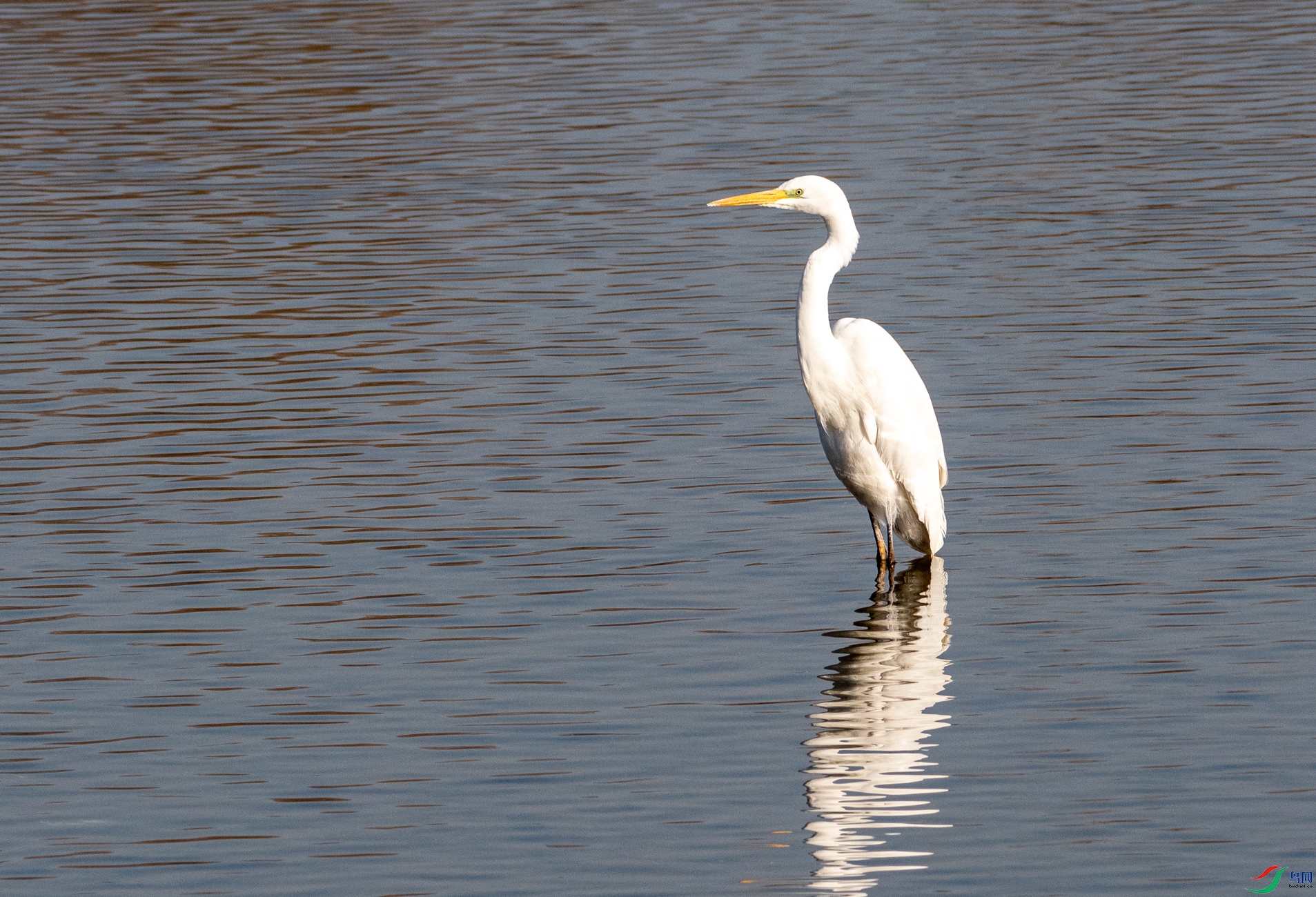 DSC_3634.jpg