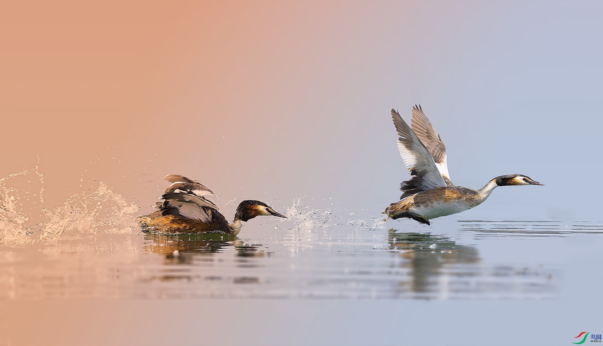 019A347345 ����.jpg