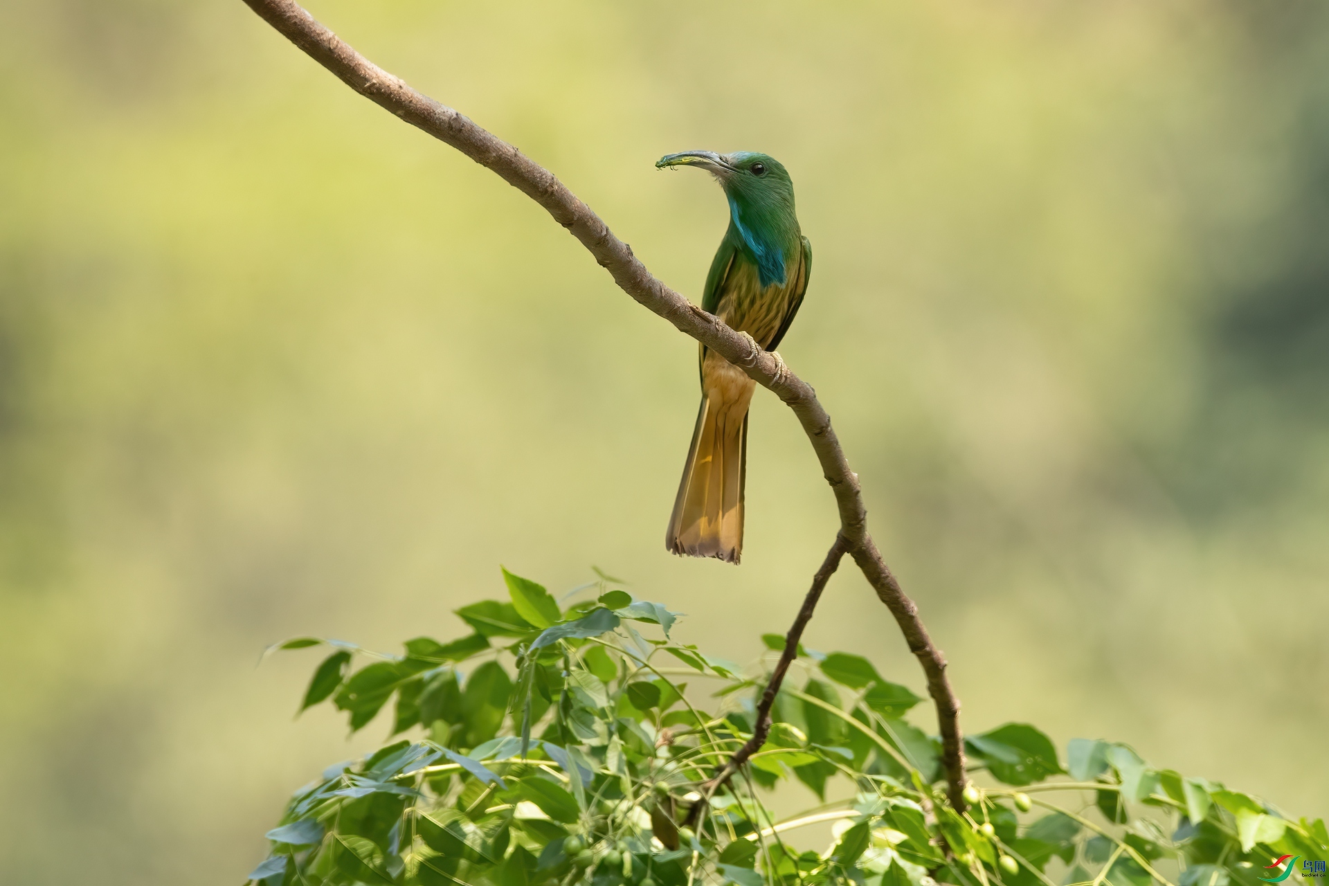 B86I6069 _����.jpg