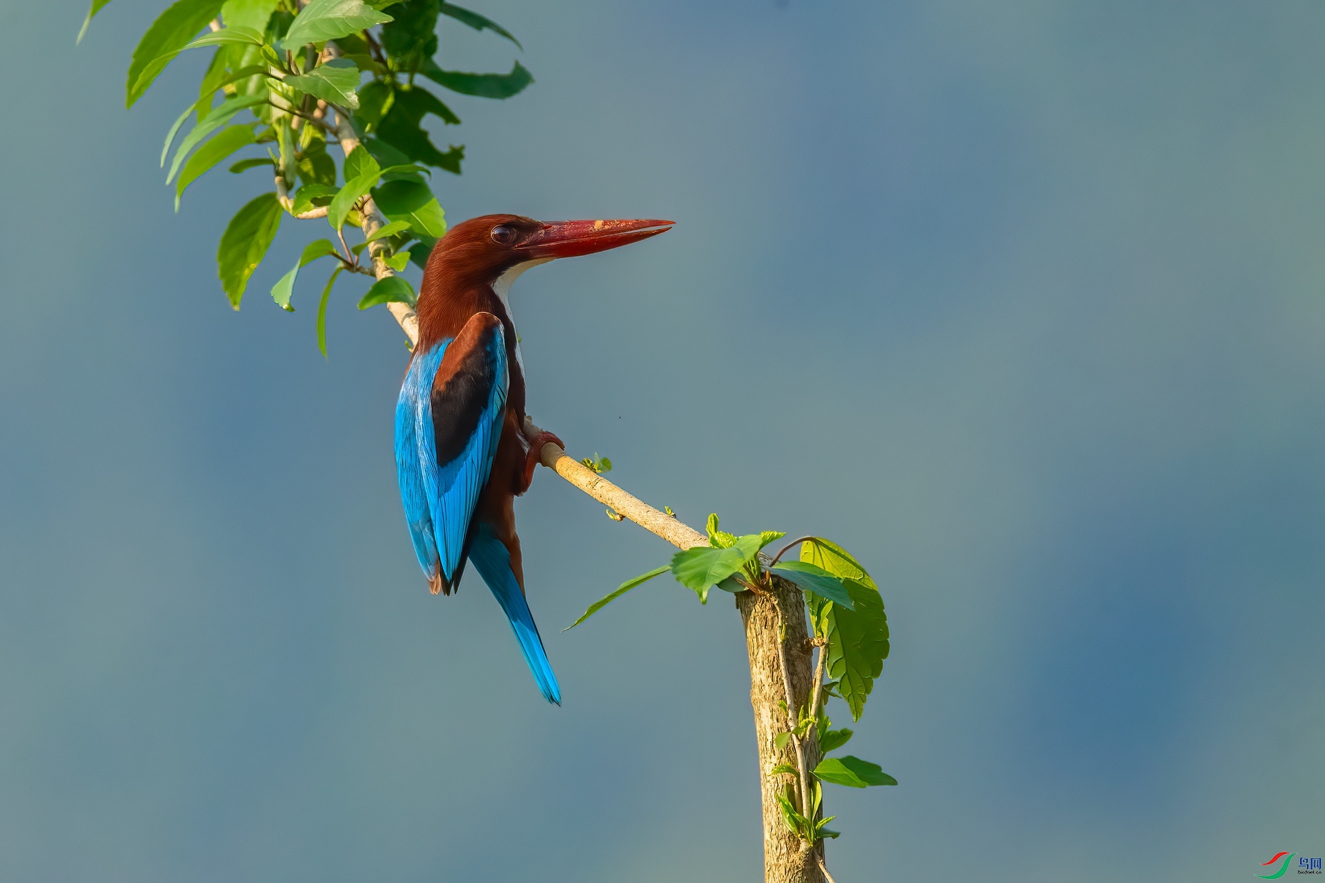 B86I5637 _����.jpg