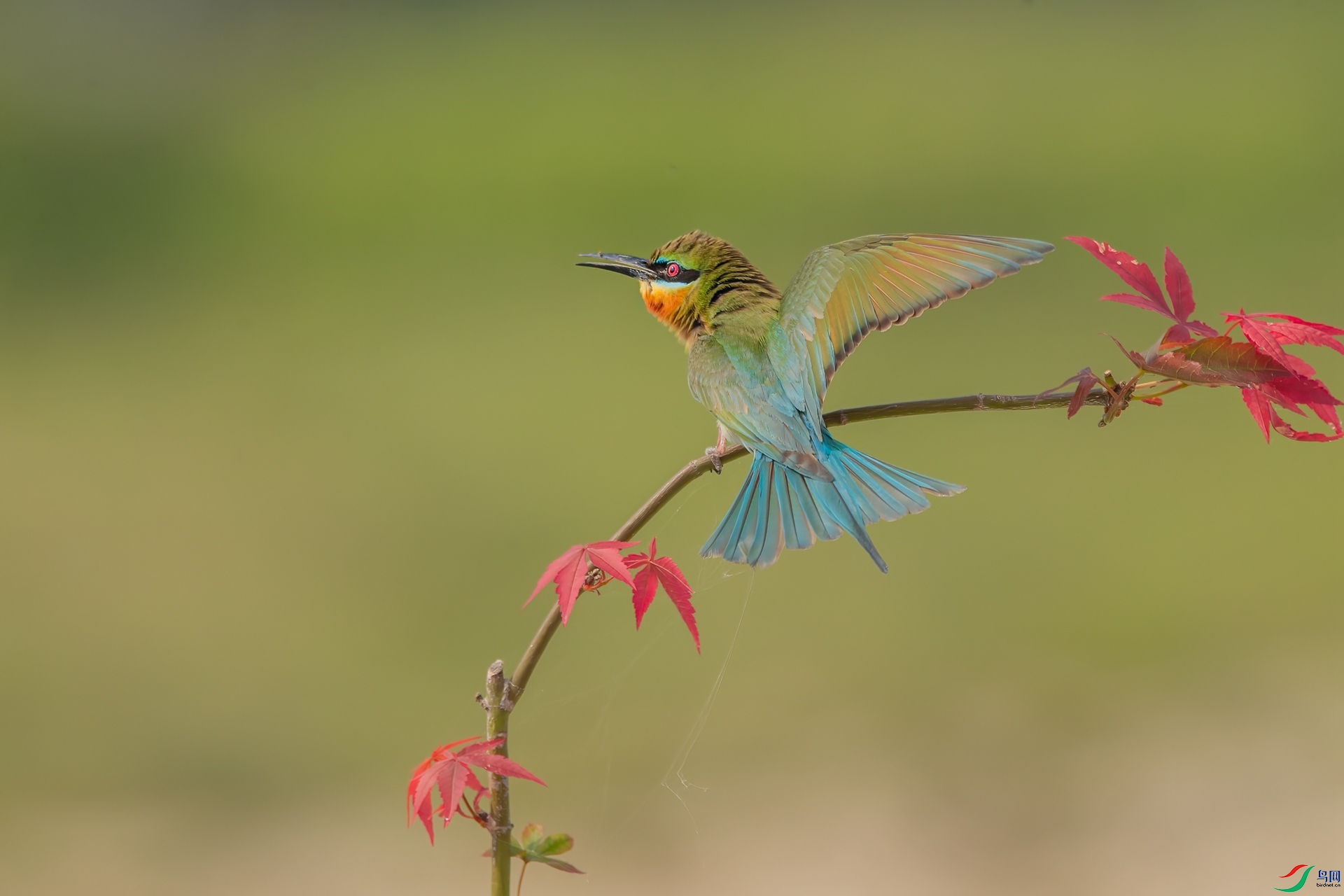 B86I7047 _����.jpg