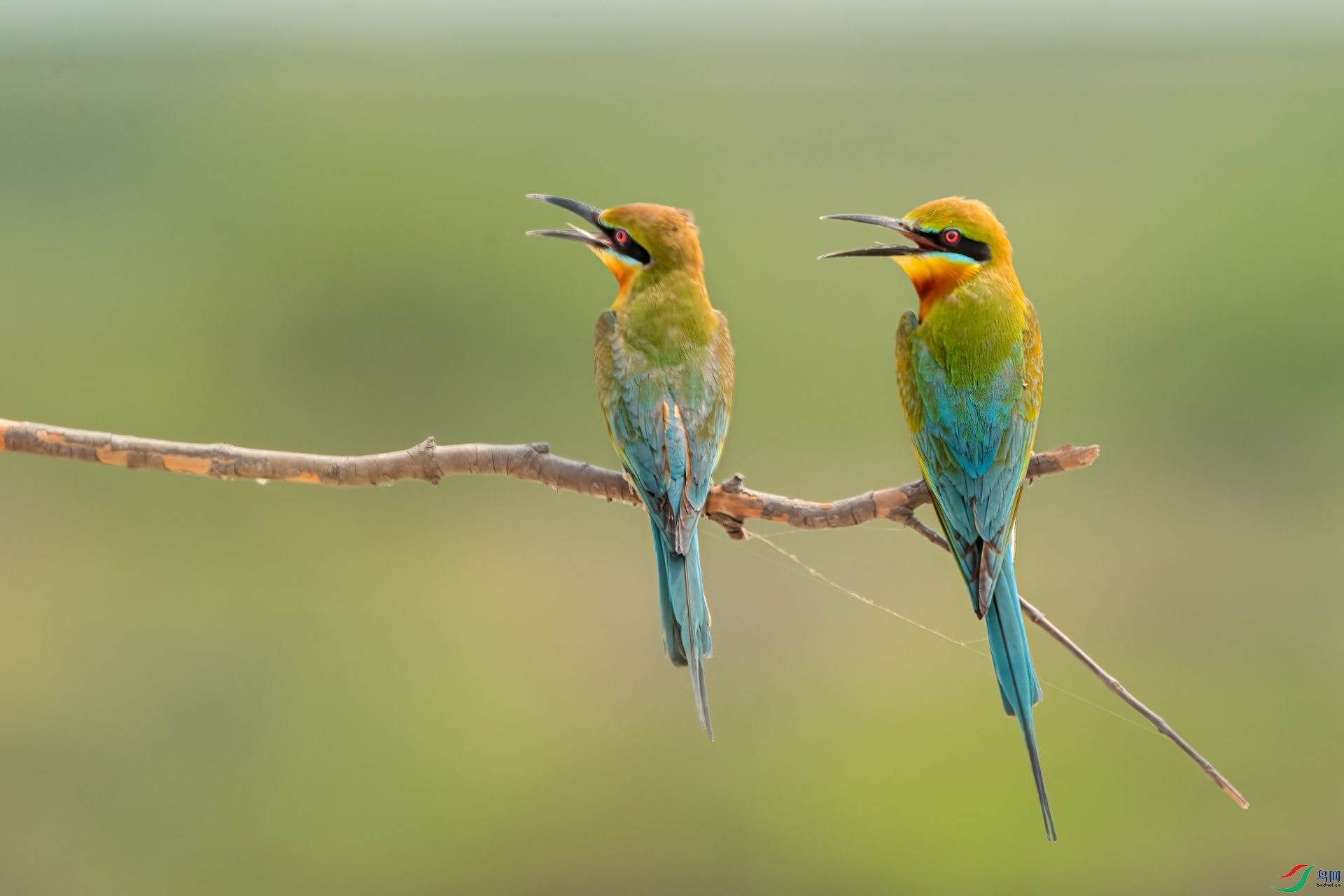 B86I5823 _����.jpg