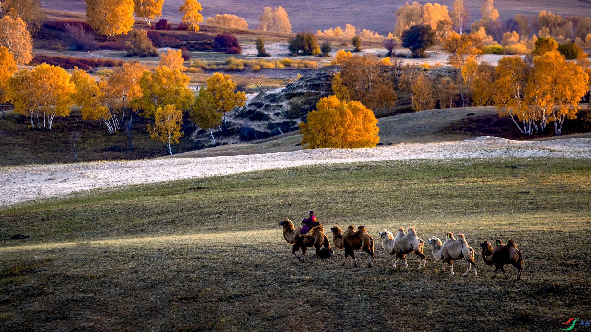 ���հ���