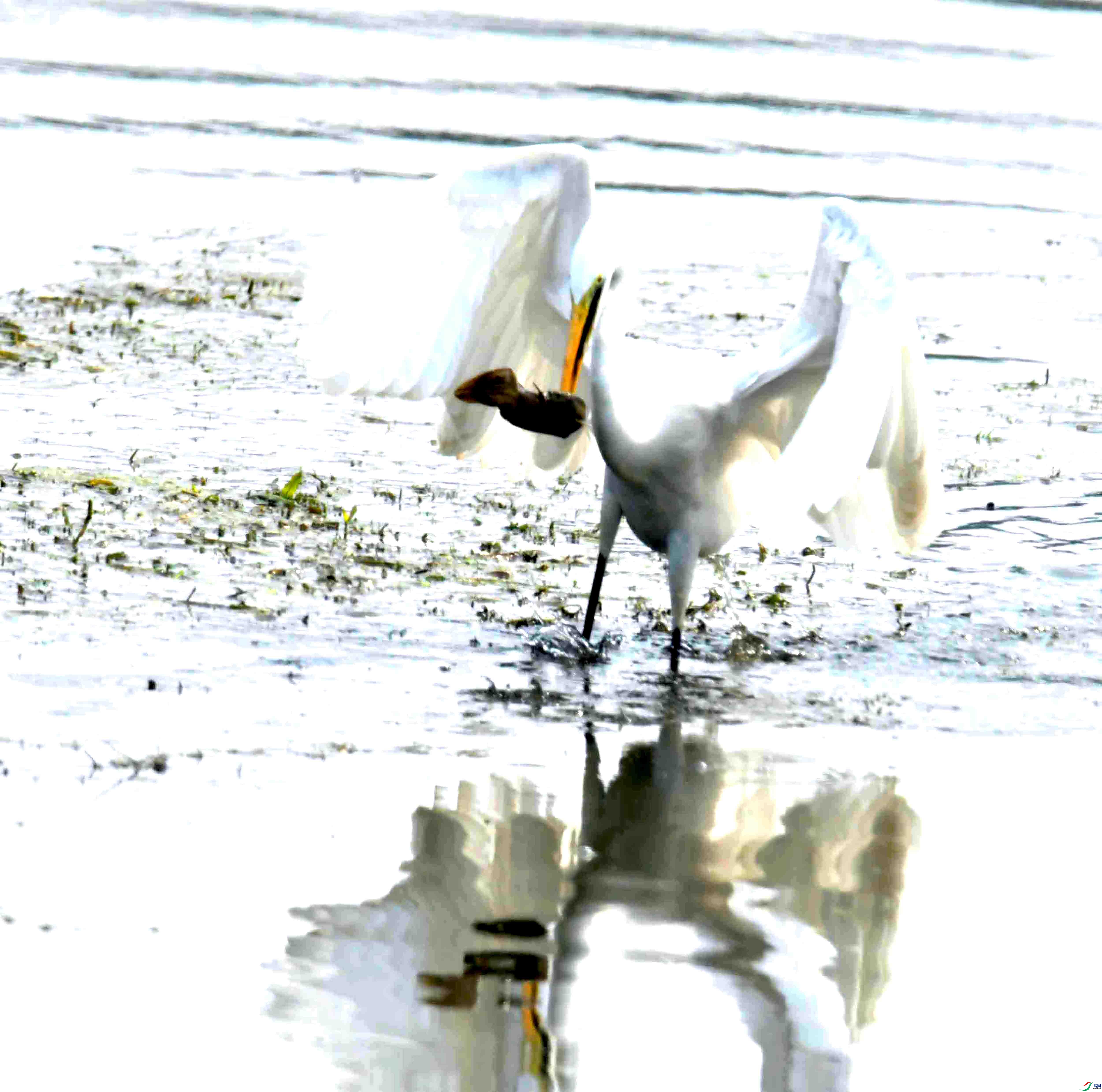 DSC_3809.JPG