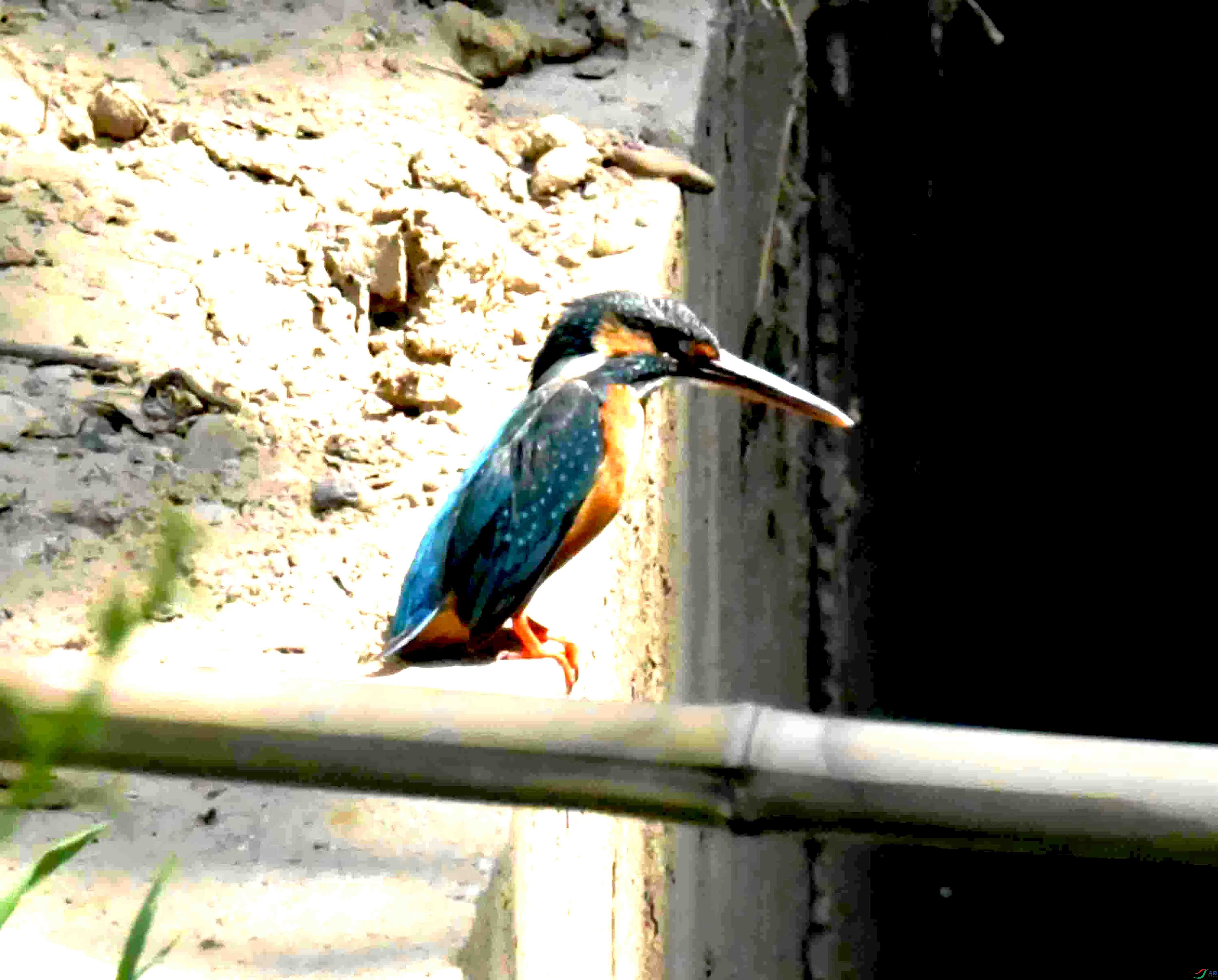 DSC_2899.JPG
