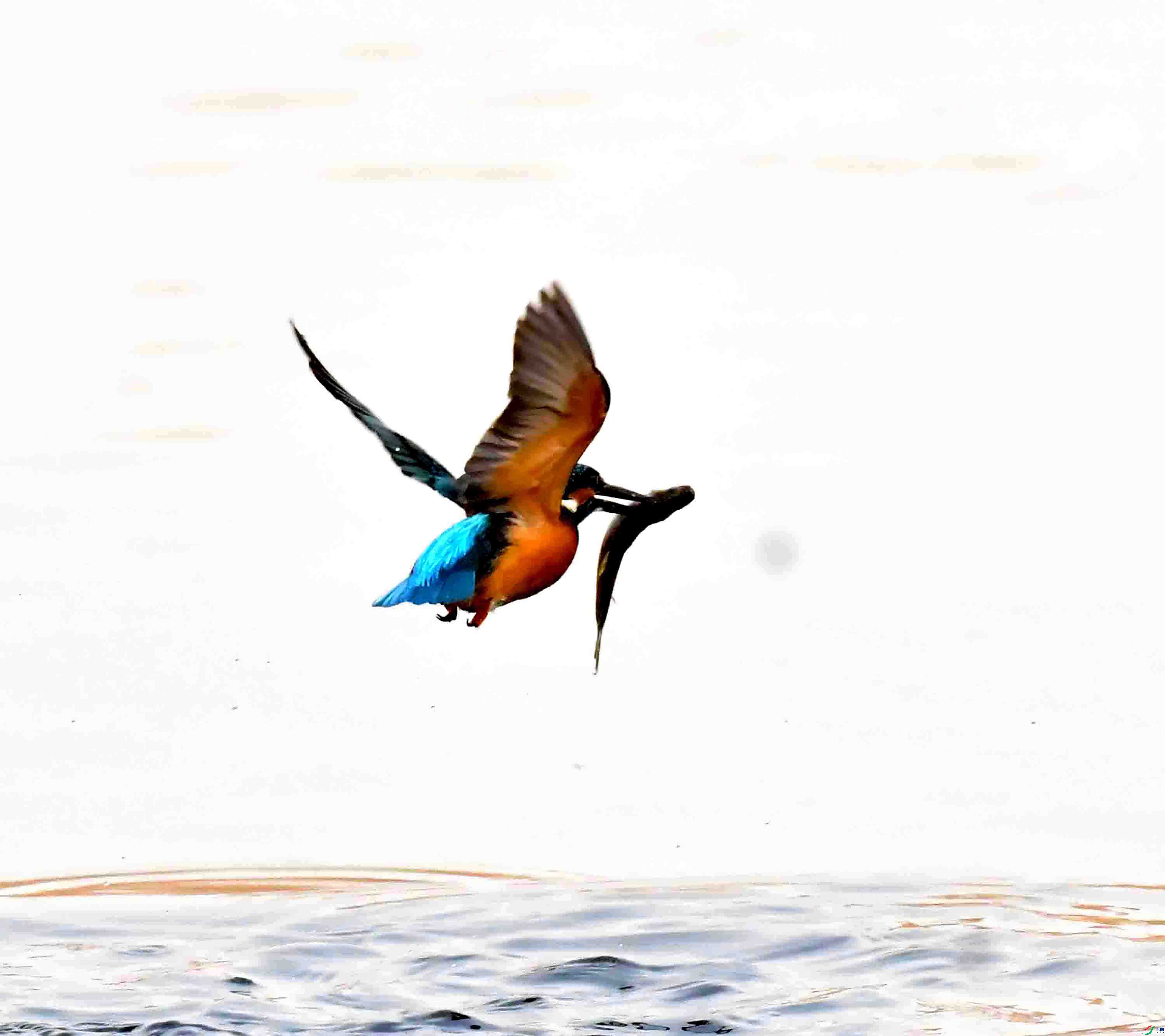 DSC_2907.JPG