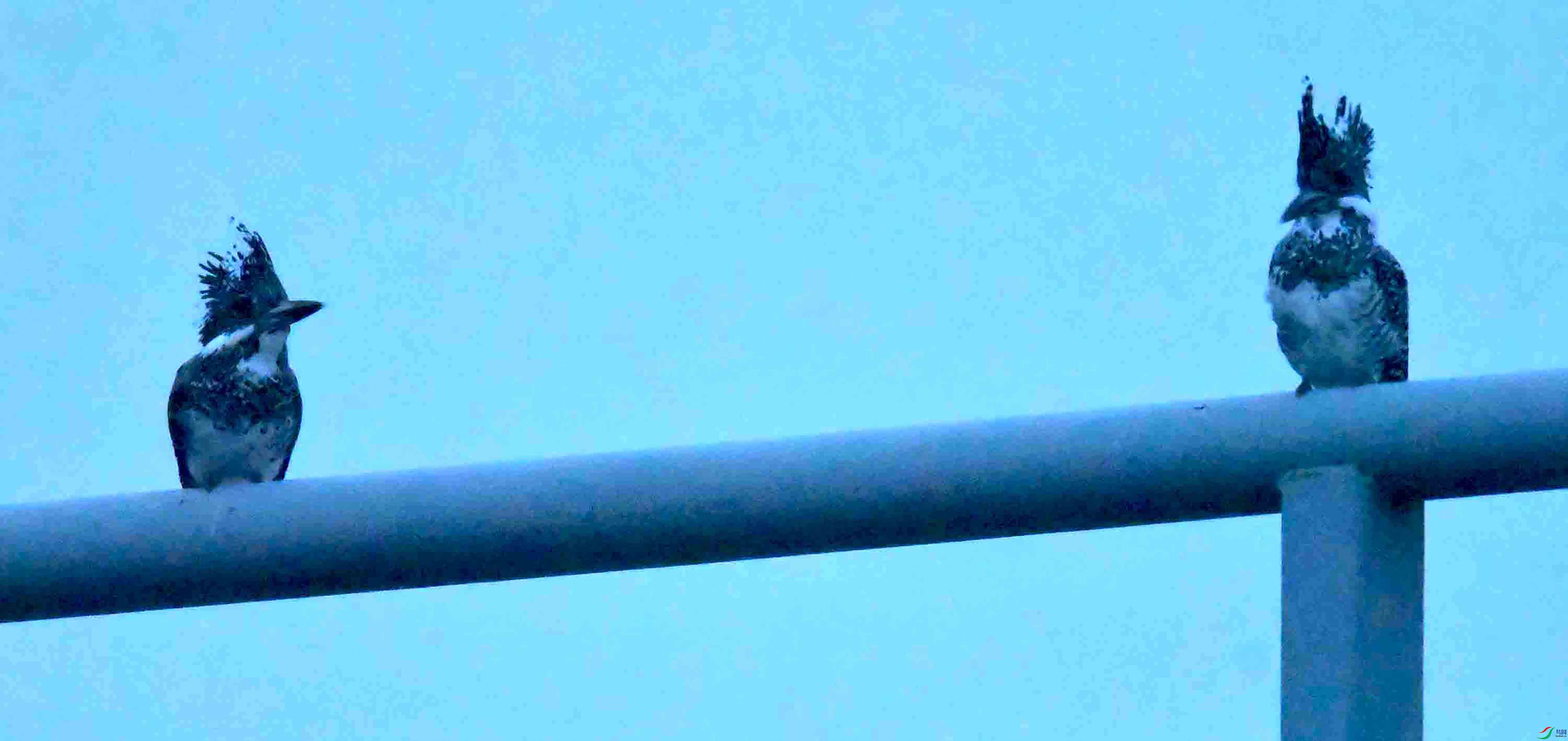 DSC_2987.JPG