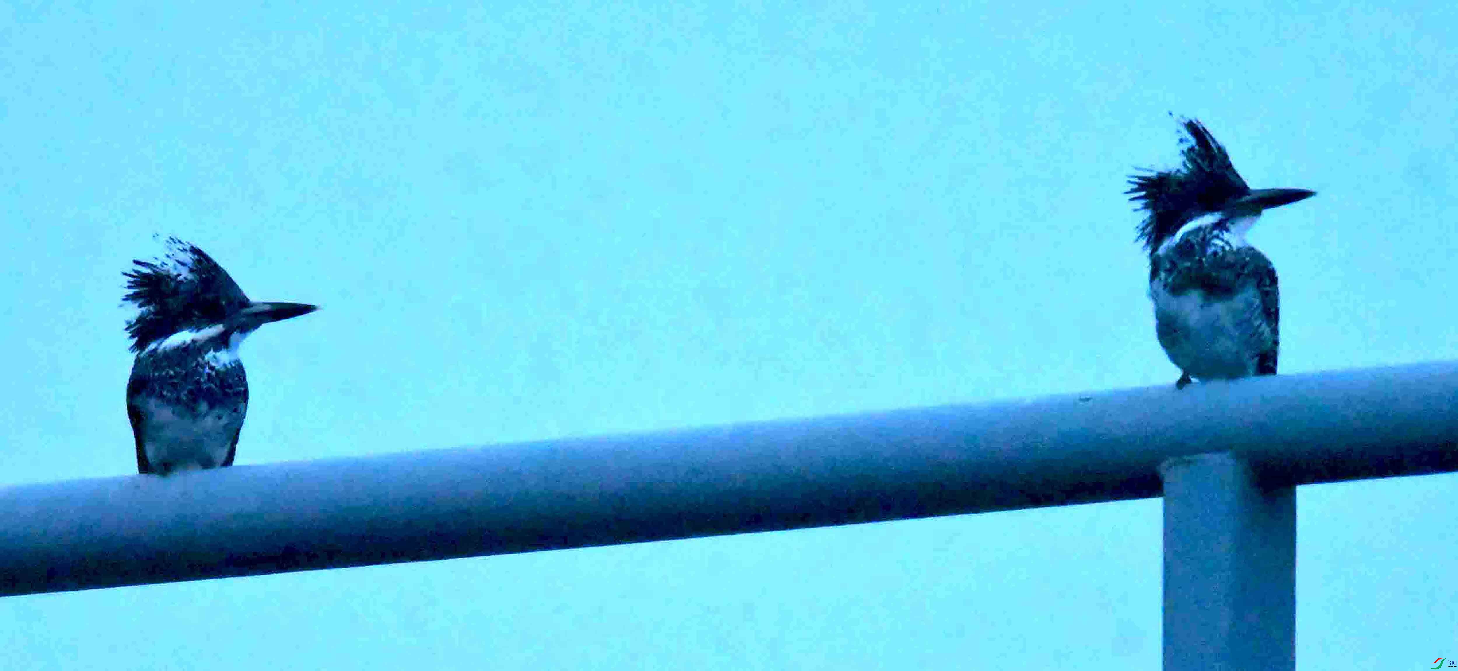 DSC_2992.JPG