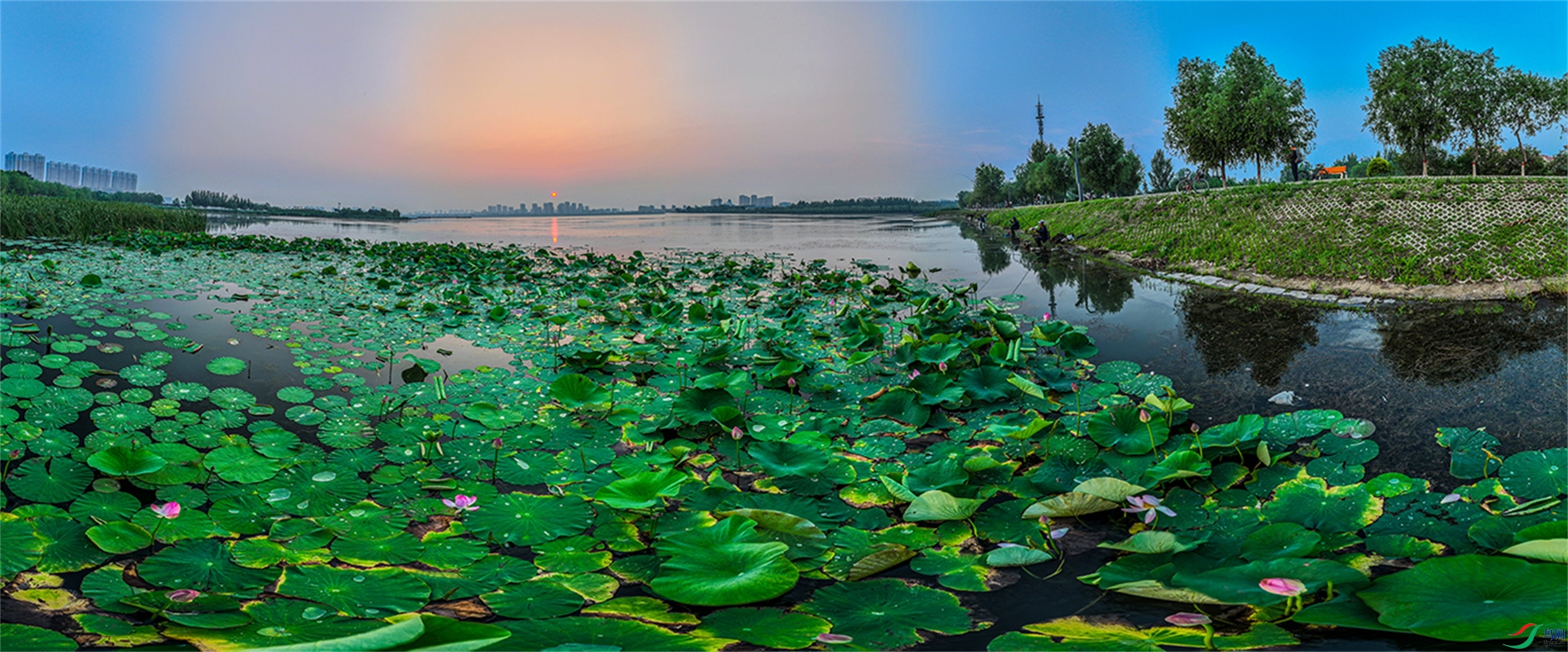 dji_fly_20230711_042900_395_1689113786357_pano ����2.jpg