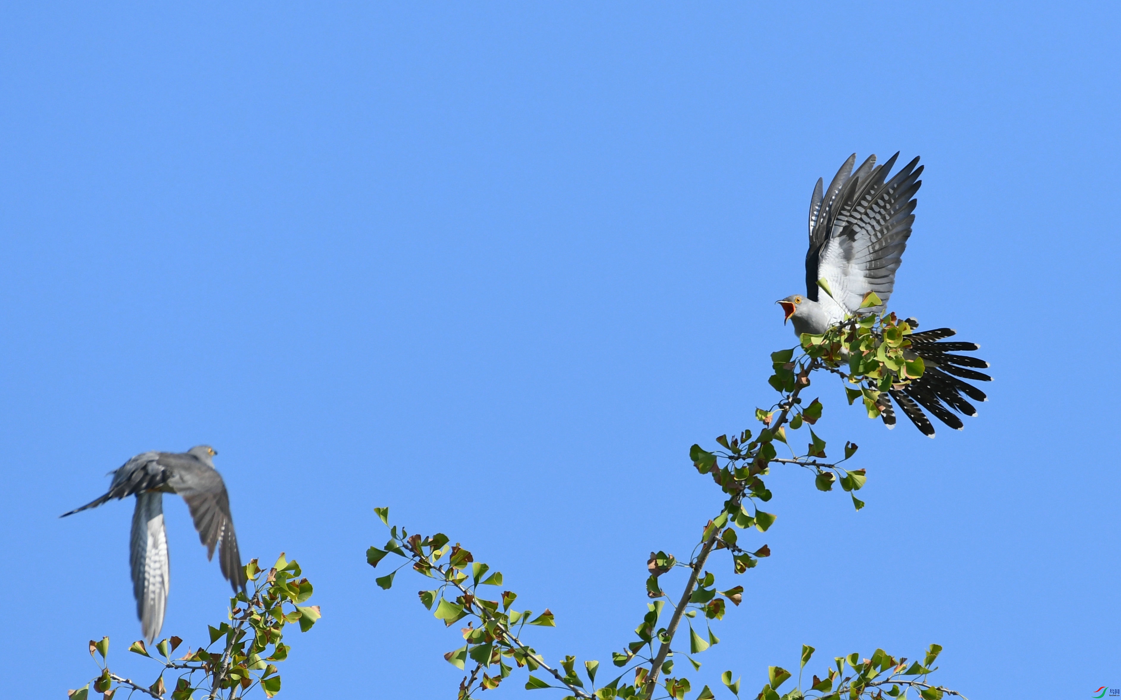 DSC_6219.JPG