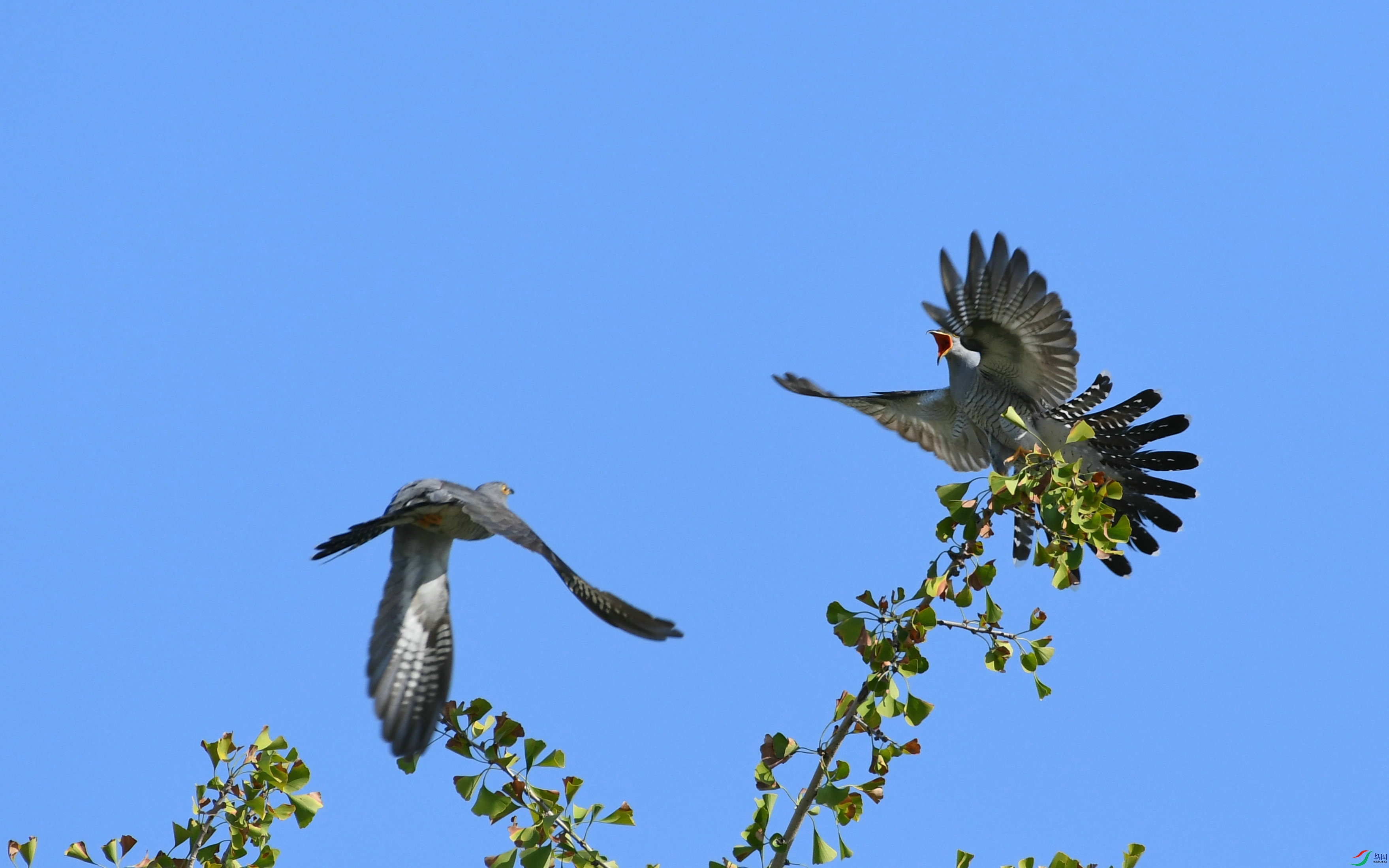 DSC_6220.JPG