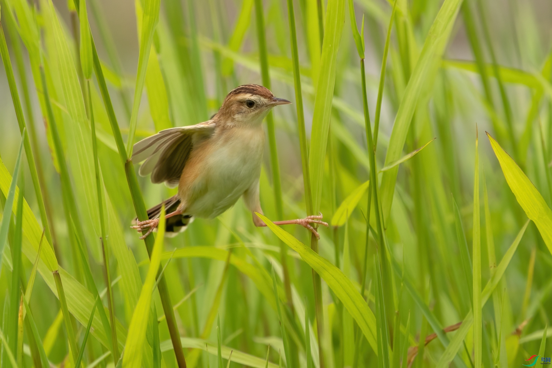 B86I8293 _����.jpg