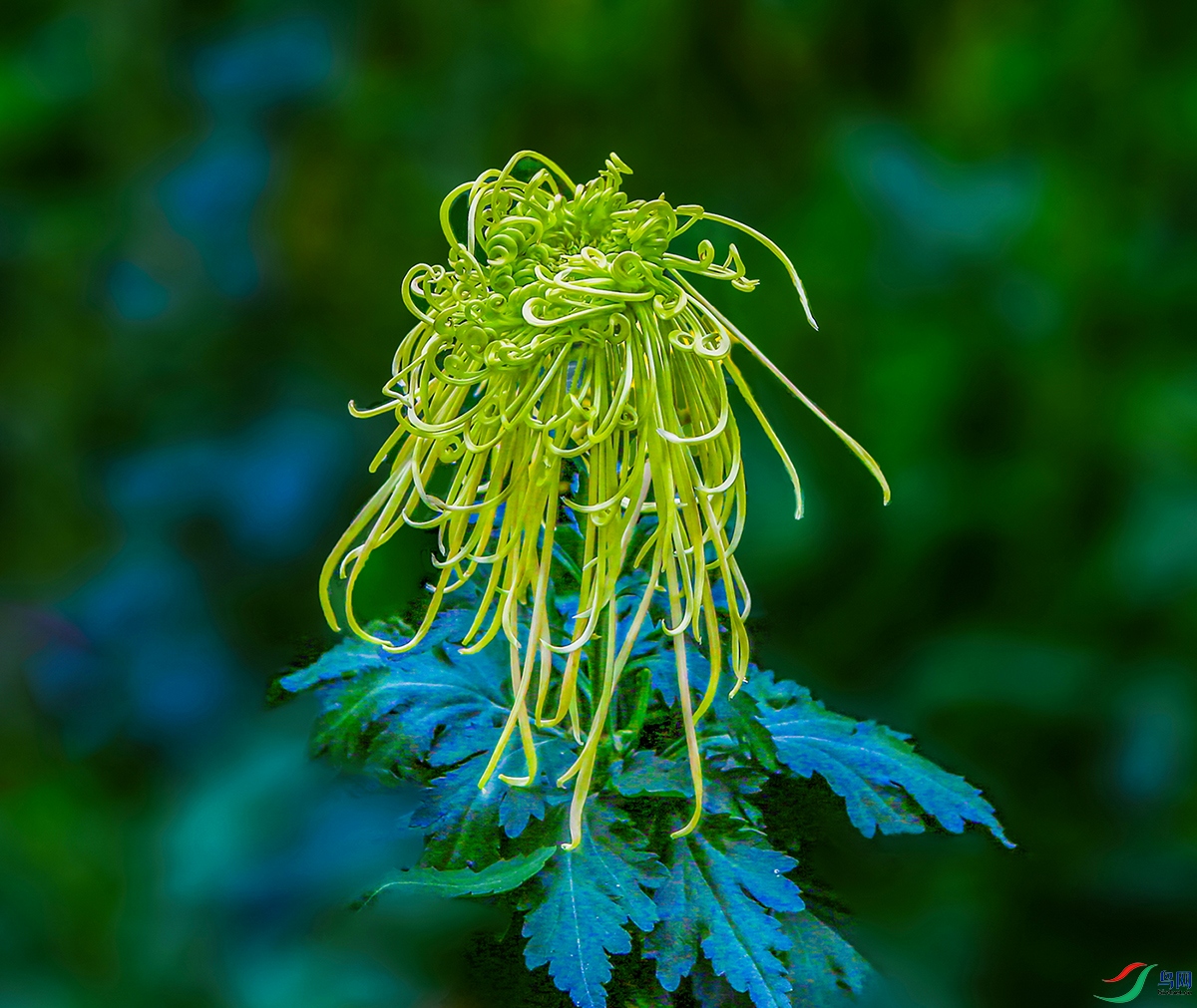 000002U9A0408 �������� 1000k.jpg
