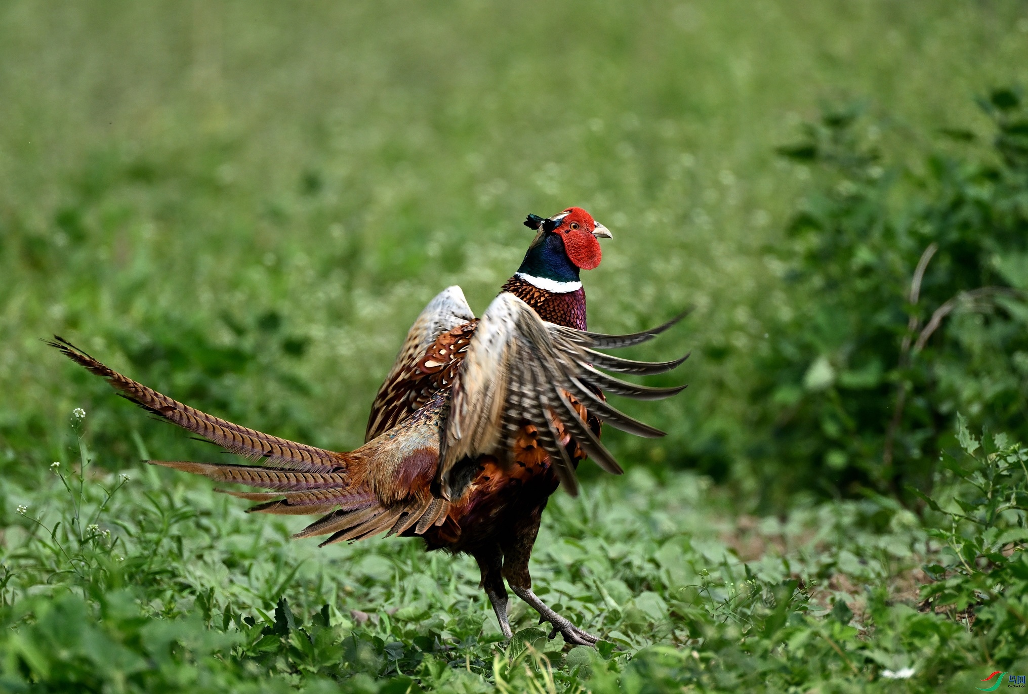 DSC_1206.JPG