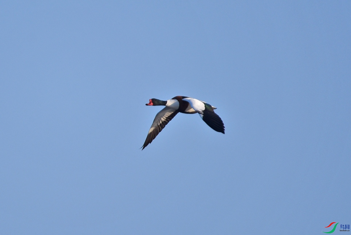 DSC_9261.jpg