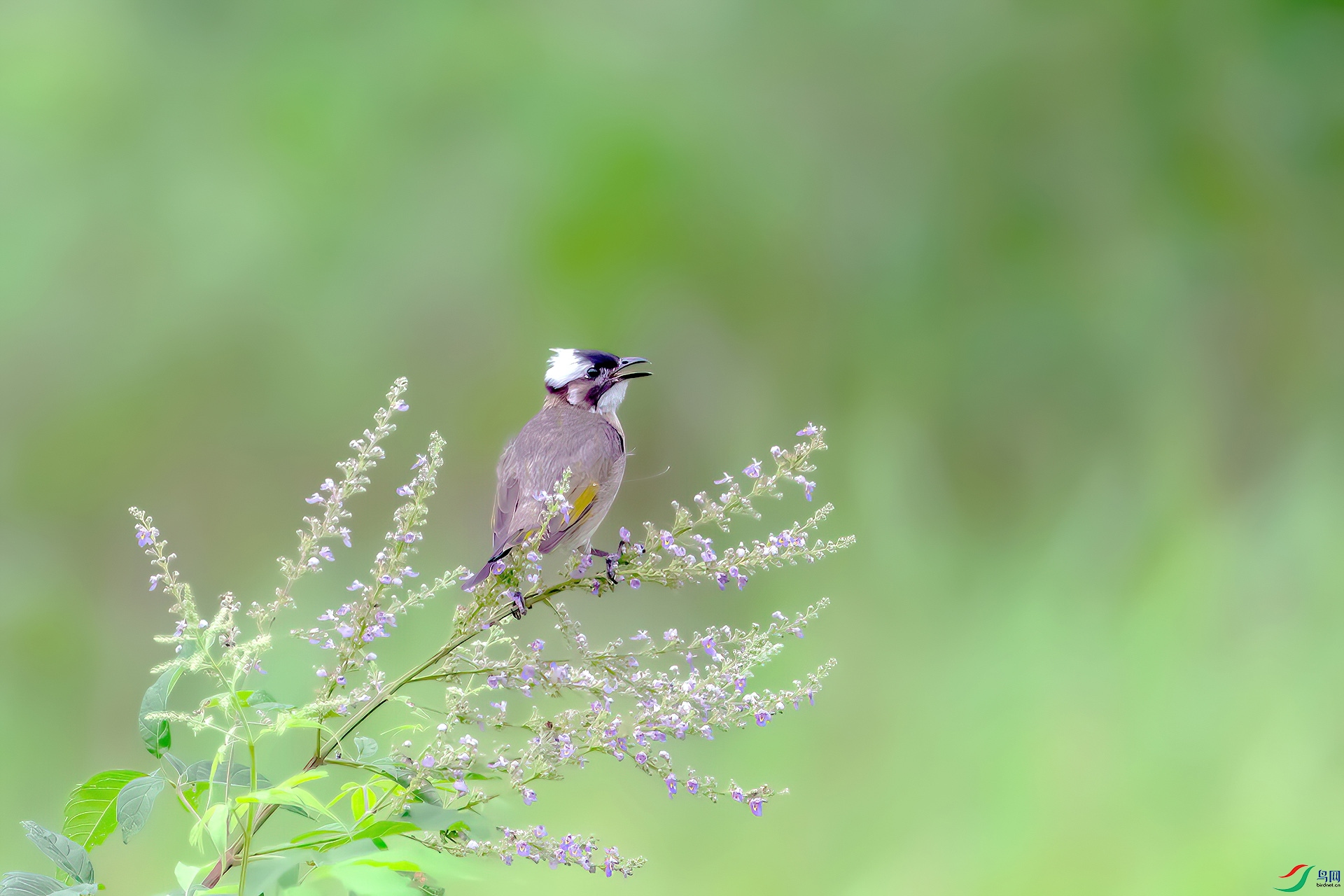 _MG_6814.jpg
