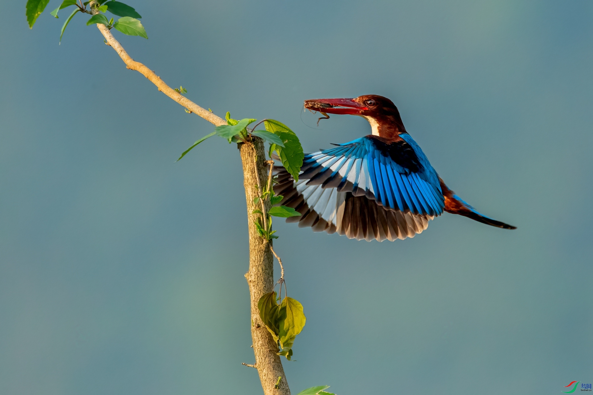 B86I5486 _����.jpg