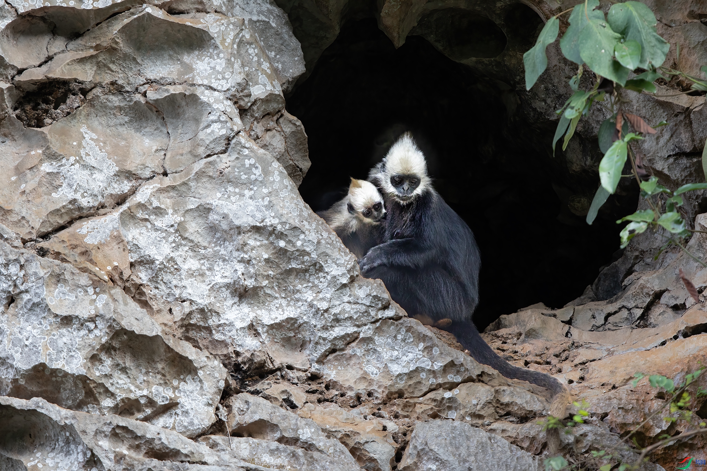 3S5A7982 ����.jpg