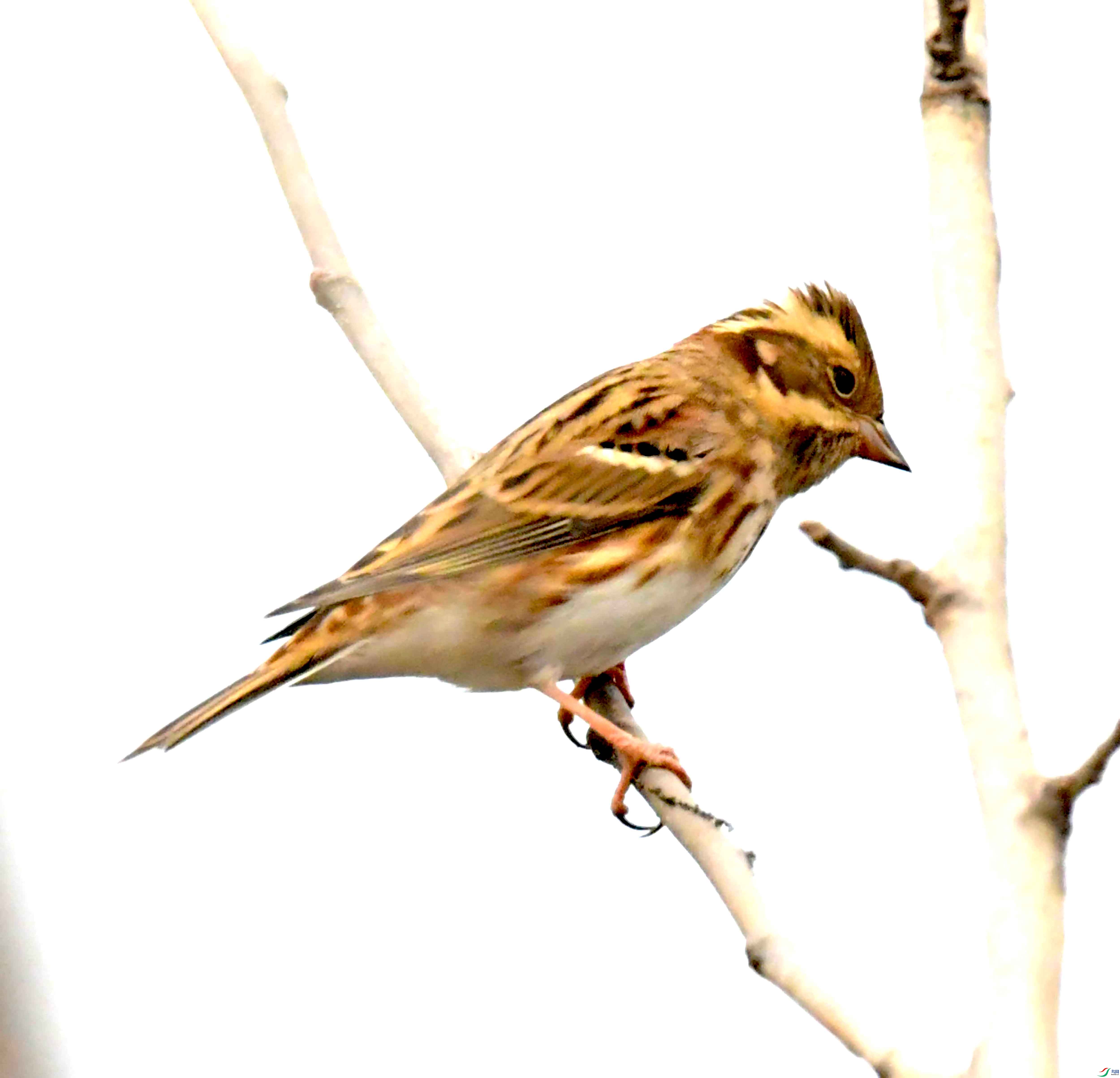 DSC_3508.JPG