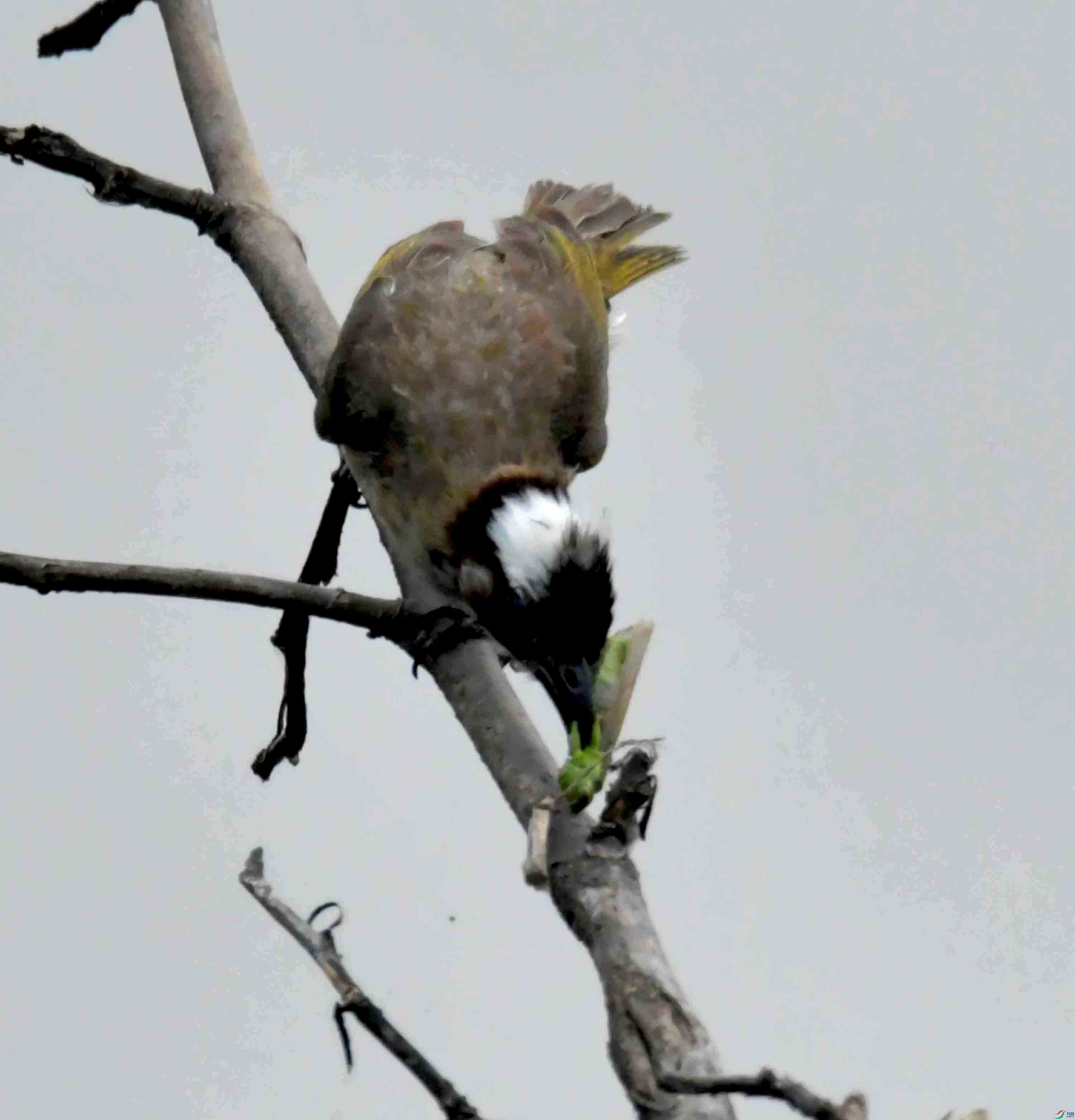 DSC_3764.JPG
