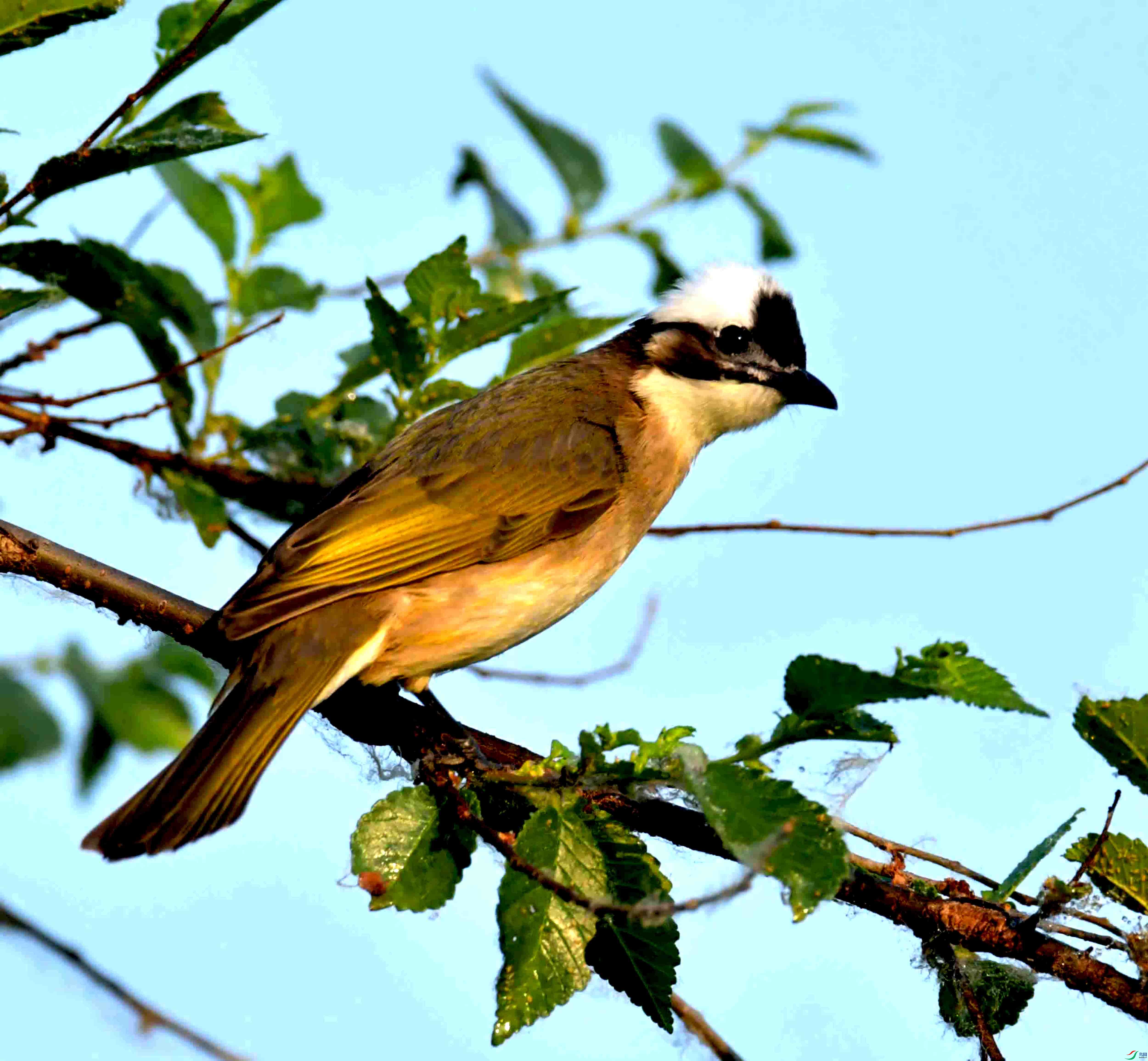 DSC_3800.JPG