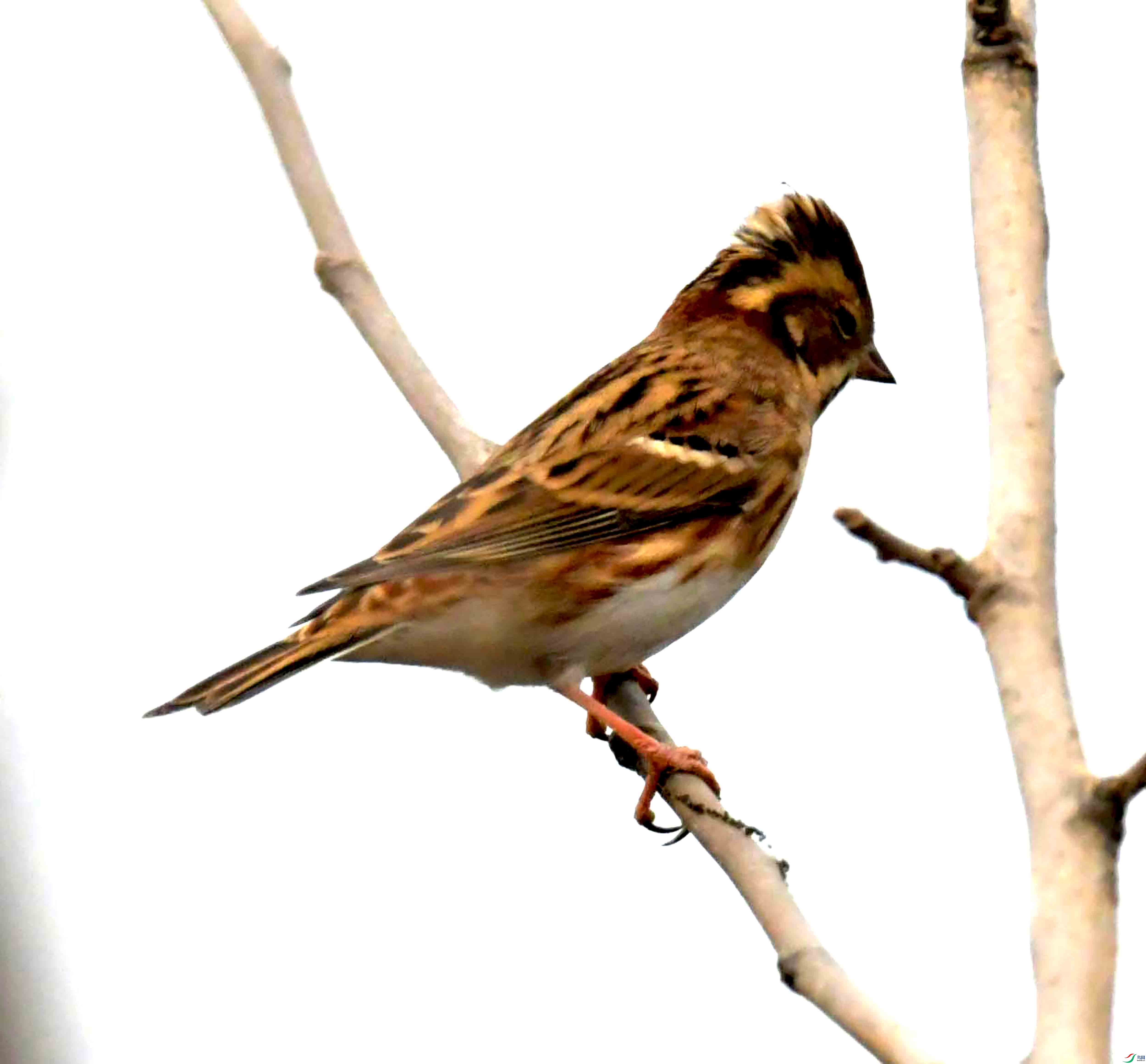 DSC_3505.JPG